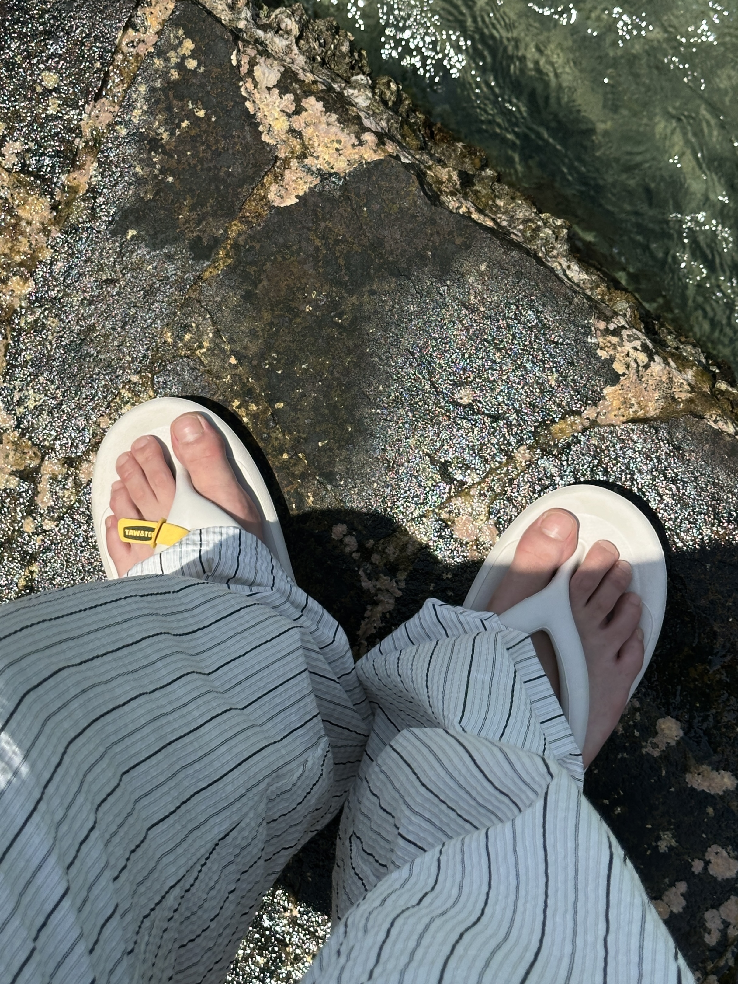 Taw&Toe Flip Flop Zerovity Bio Cream 착용 스타일 - 5