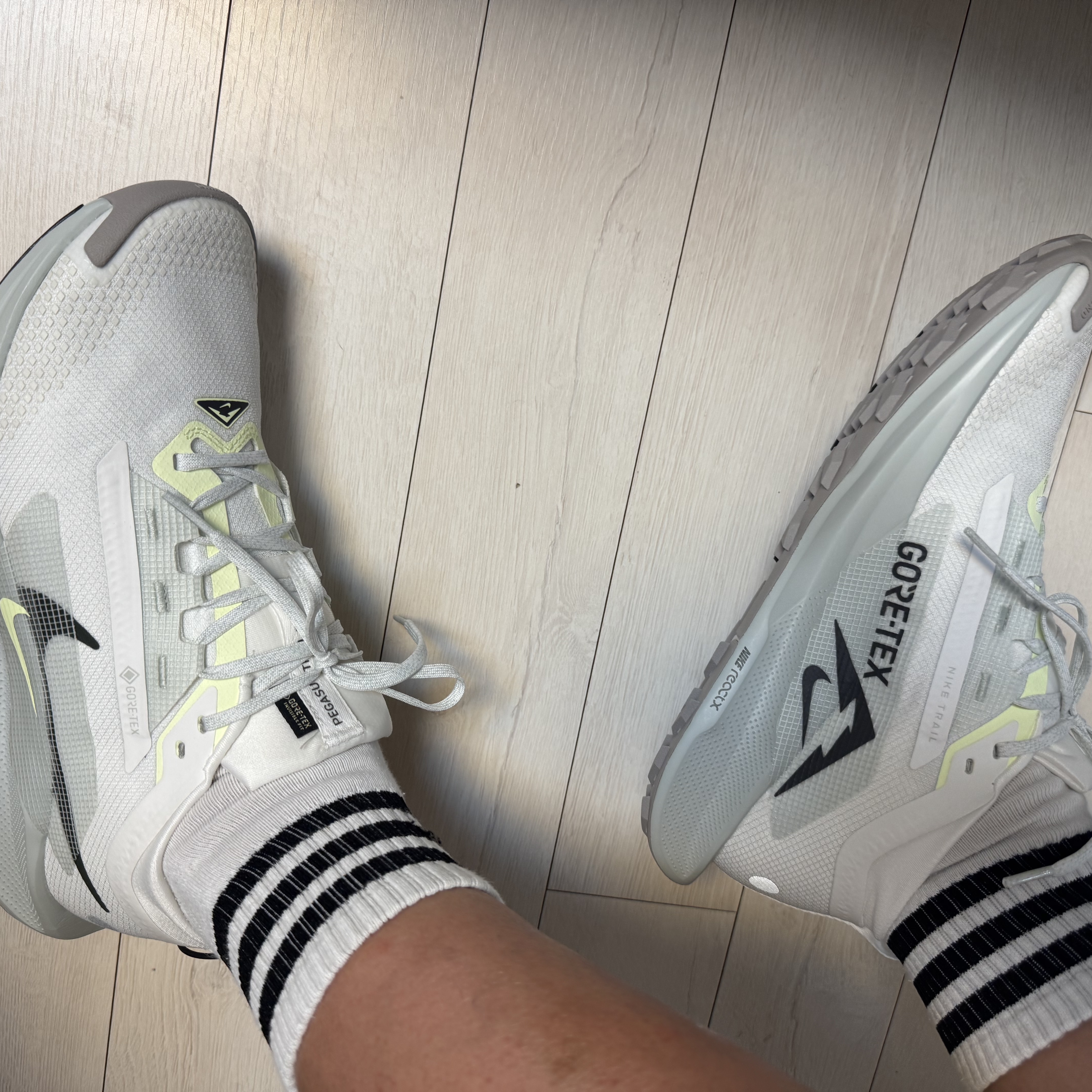 Nike Pegasus Trail 5 Gore-Tex Summit White Light Silver 착용 스타일
