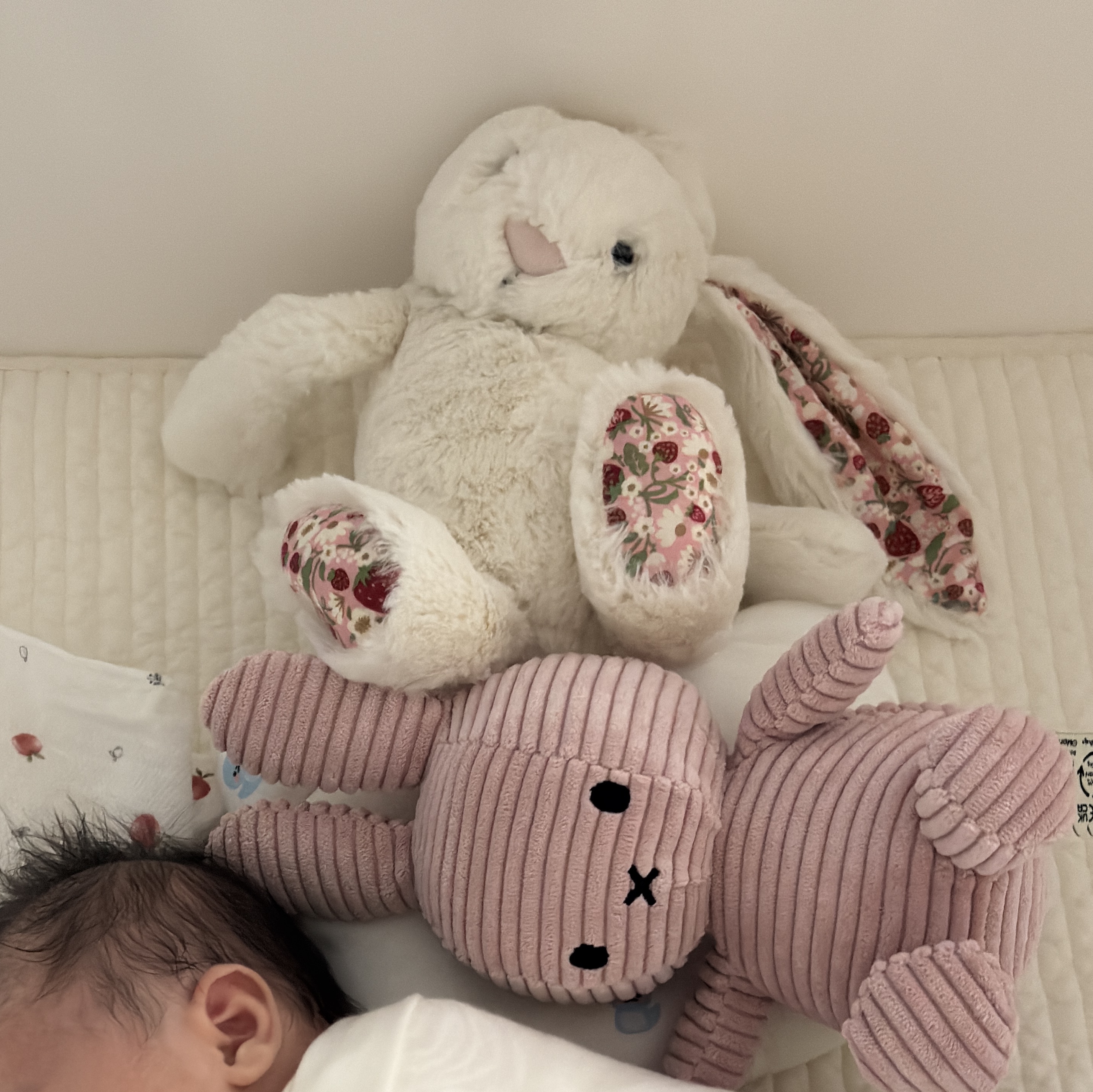 Jellycat Blossom Cream Bunny Medium Berry, Miffy x Bon Ton Toys Sitting Corduroy 23cm Pink 착용 스타일