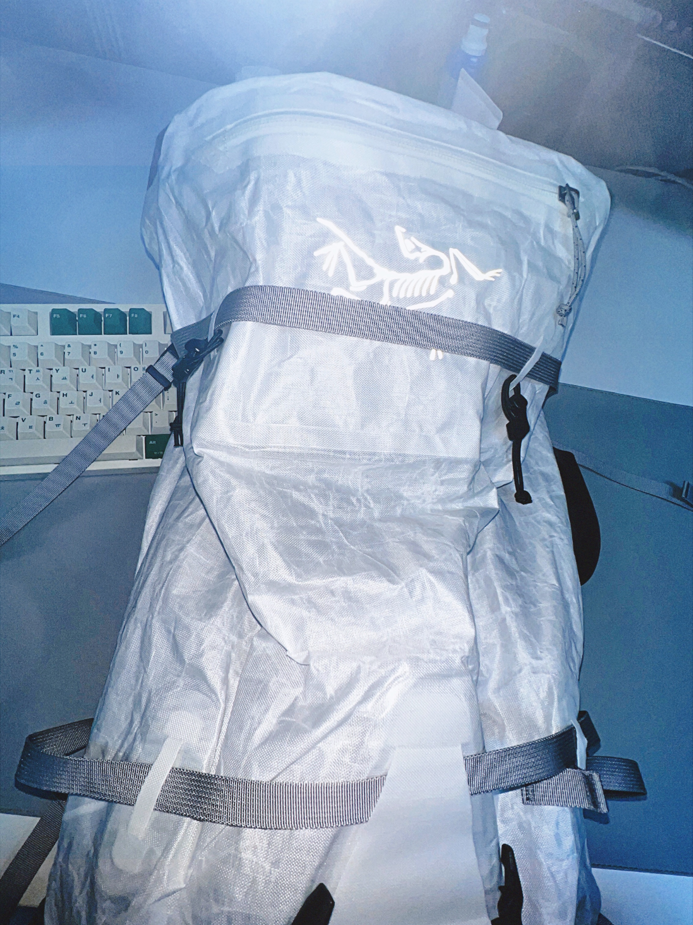 Arc'teryx Alpha SL 30 Backpack White 착용 스타일