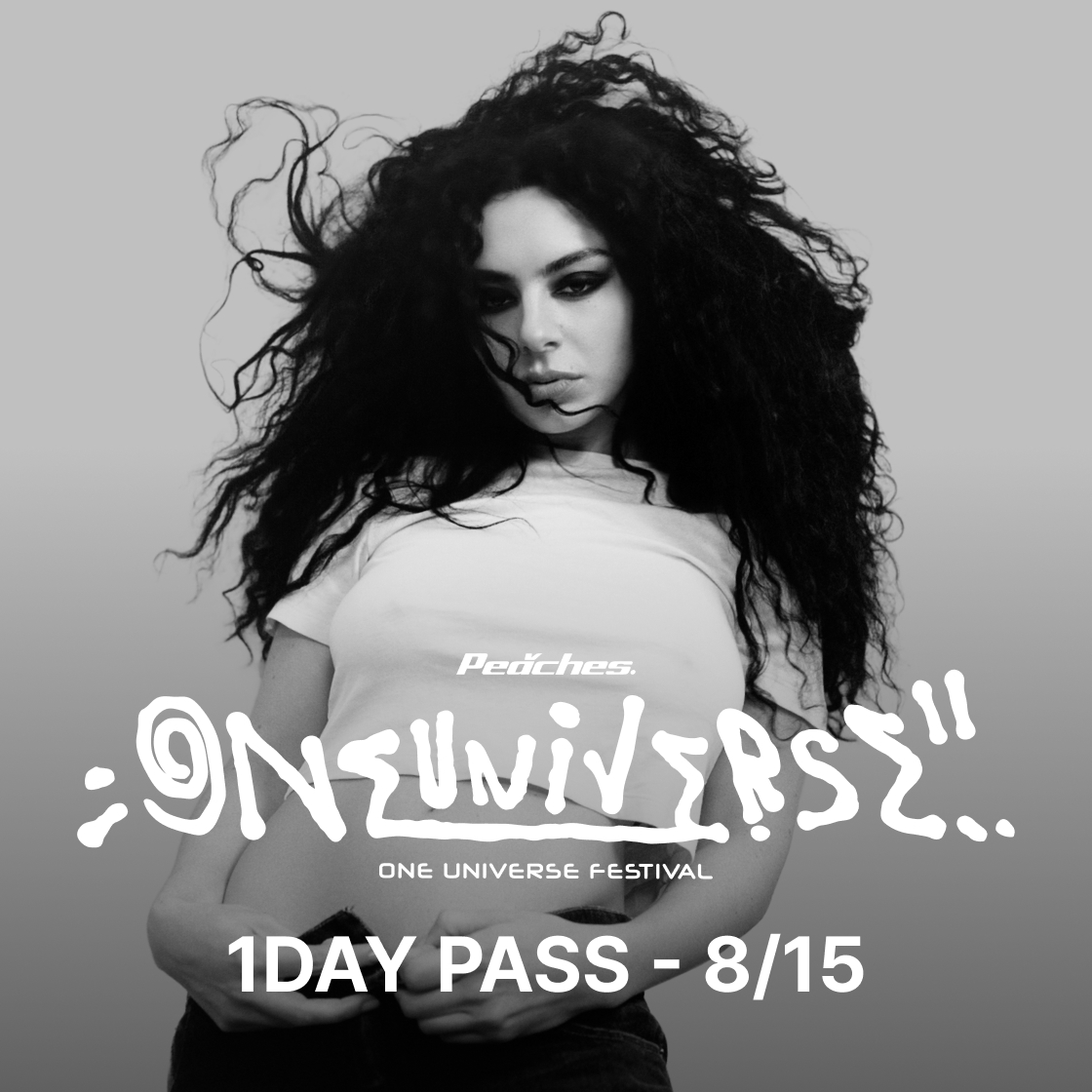 (1 DAY PASS -  8/15) 원 유니버스 페스티벌 2025 오피셜 티켓(ONE UNIVERSE FESTIVAL 2025 Official Ticket (1 DAY PASS -  8/15))