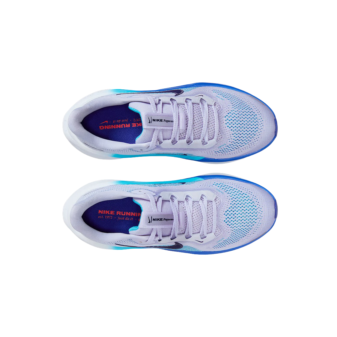 (GS) 나이키 에어 줌 페가수스 41 고스트 풋볼 그레이((GS) Nike Air Zoom Pegasus 41 Ghost Football Grey) - 2