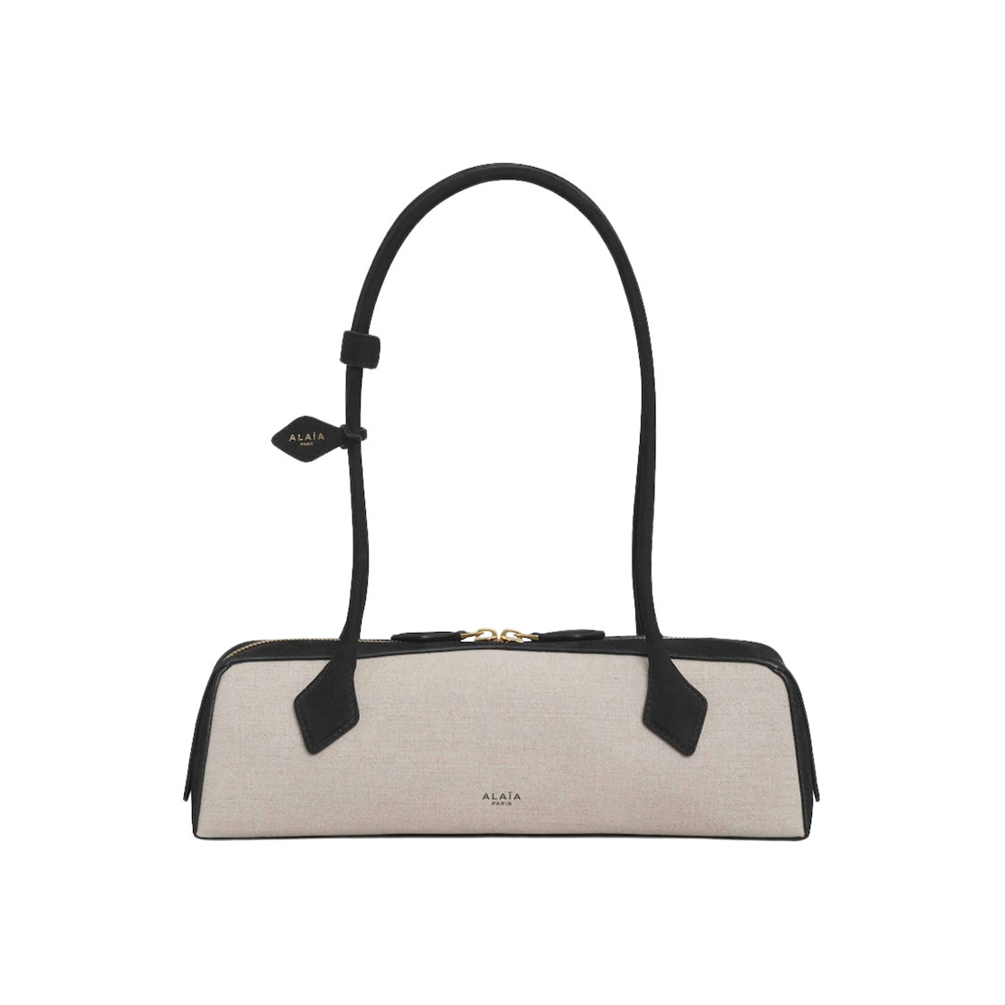 알라이아 르 테켈 캔버스 누벅 미디움백 블랙(Alaia Le Teckel Medium Bag in Canvas Nubuck Black)