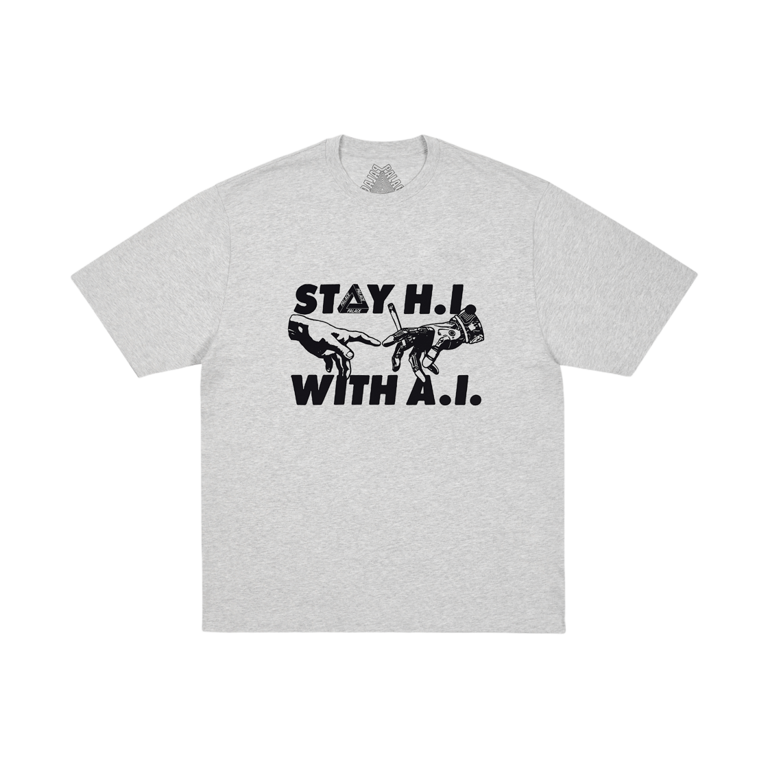 - Palace Indica T-Shirt Grey Marl - 25FW