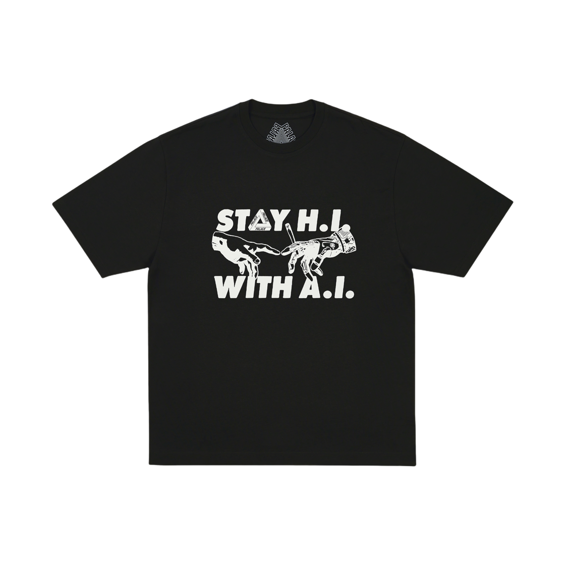 - Palace Indica T-Shirt Black - 25FW