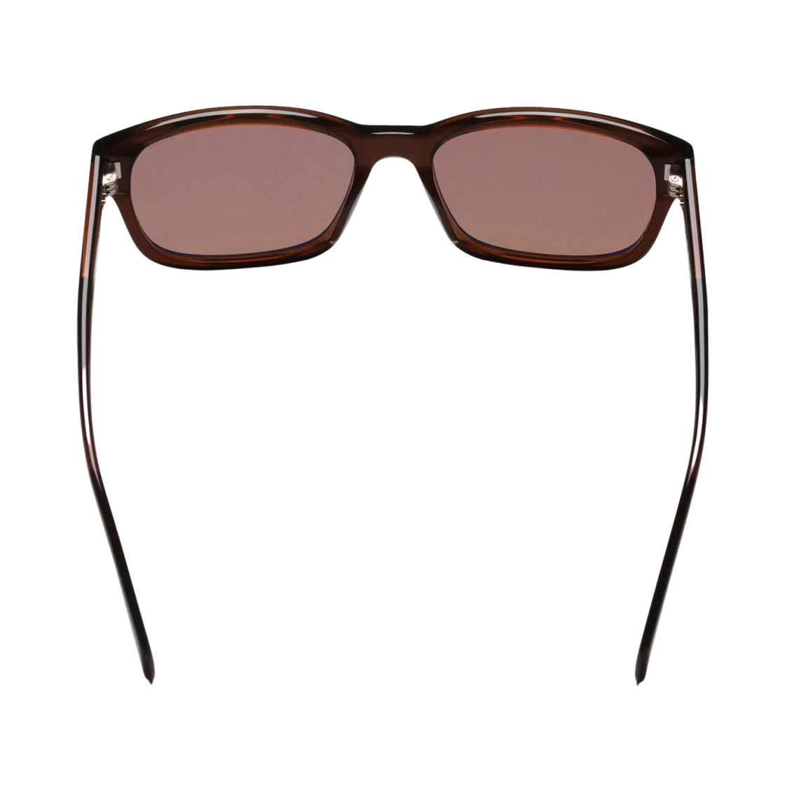 스투시 앨런 선글라스 브라운 브라운 렌즈(Stussy Alan Sunglasses Brown Brown Lens) - 3