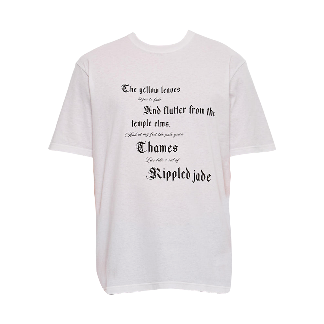 815069QTAC7909 Alexander McQueen Print T-Shirt White