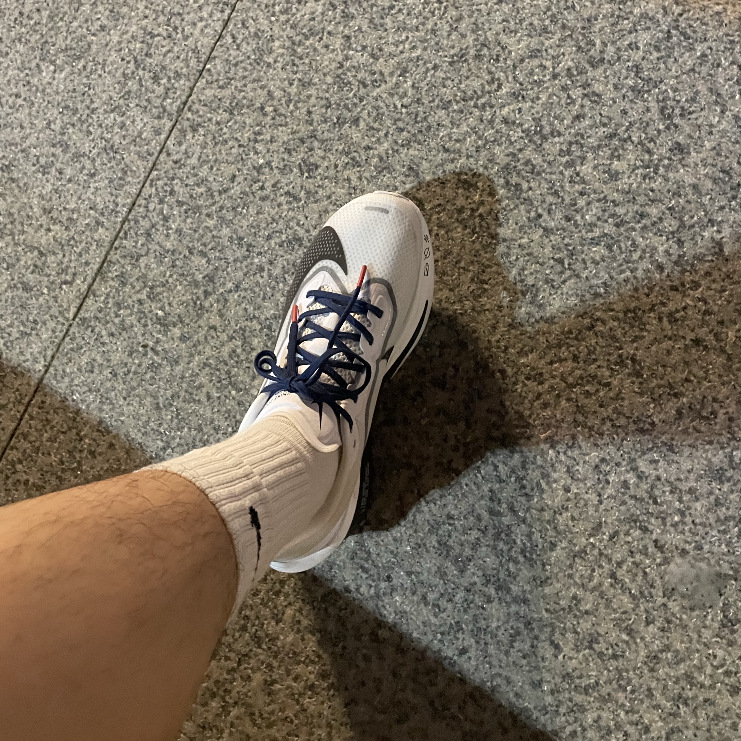 Nike Zoom Fly 6 White Smoke Grey 착용 스타일 - 2