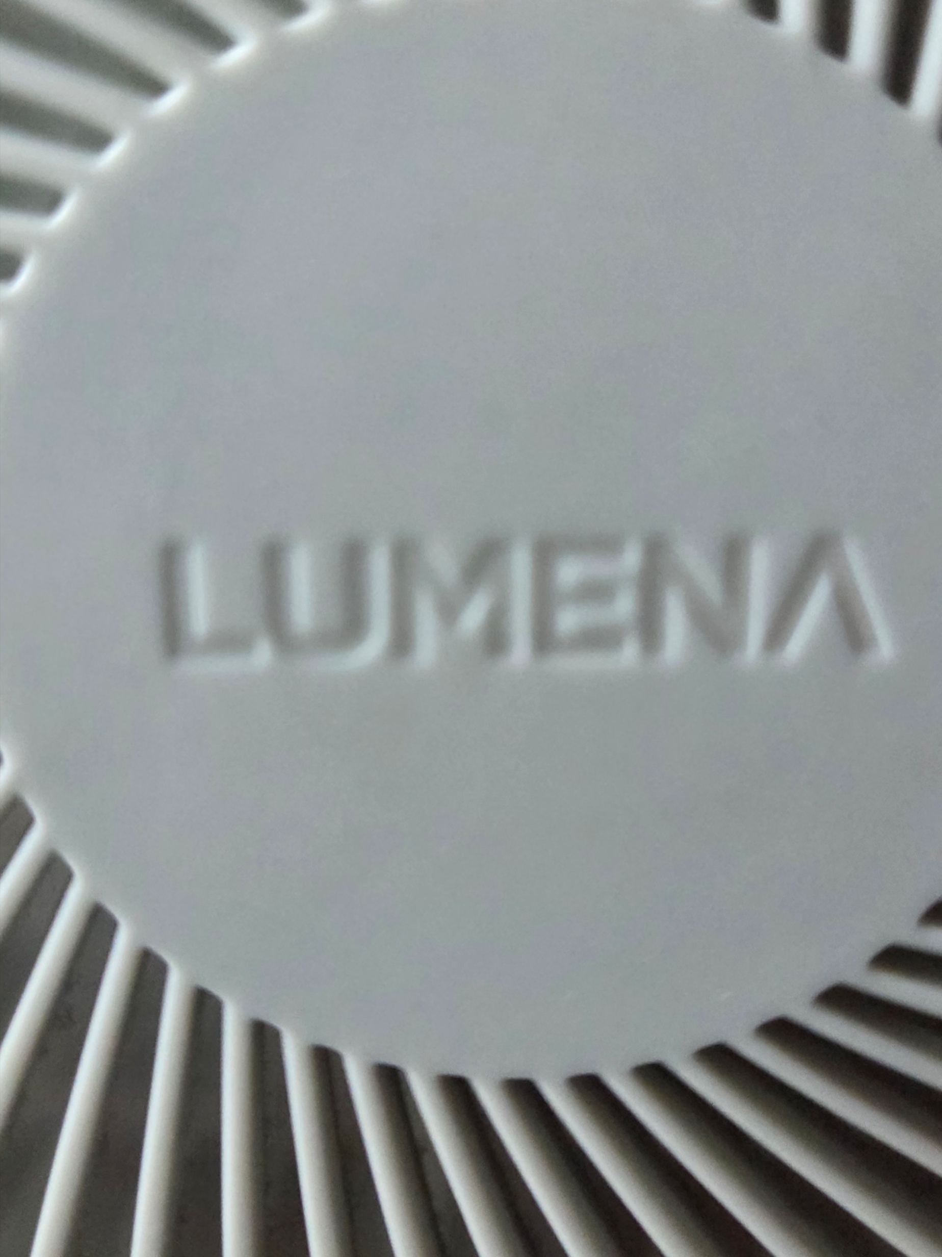 Lumena FAN STAND 4 Premium Wireless Fan Pale Green 착용 스타일