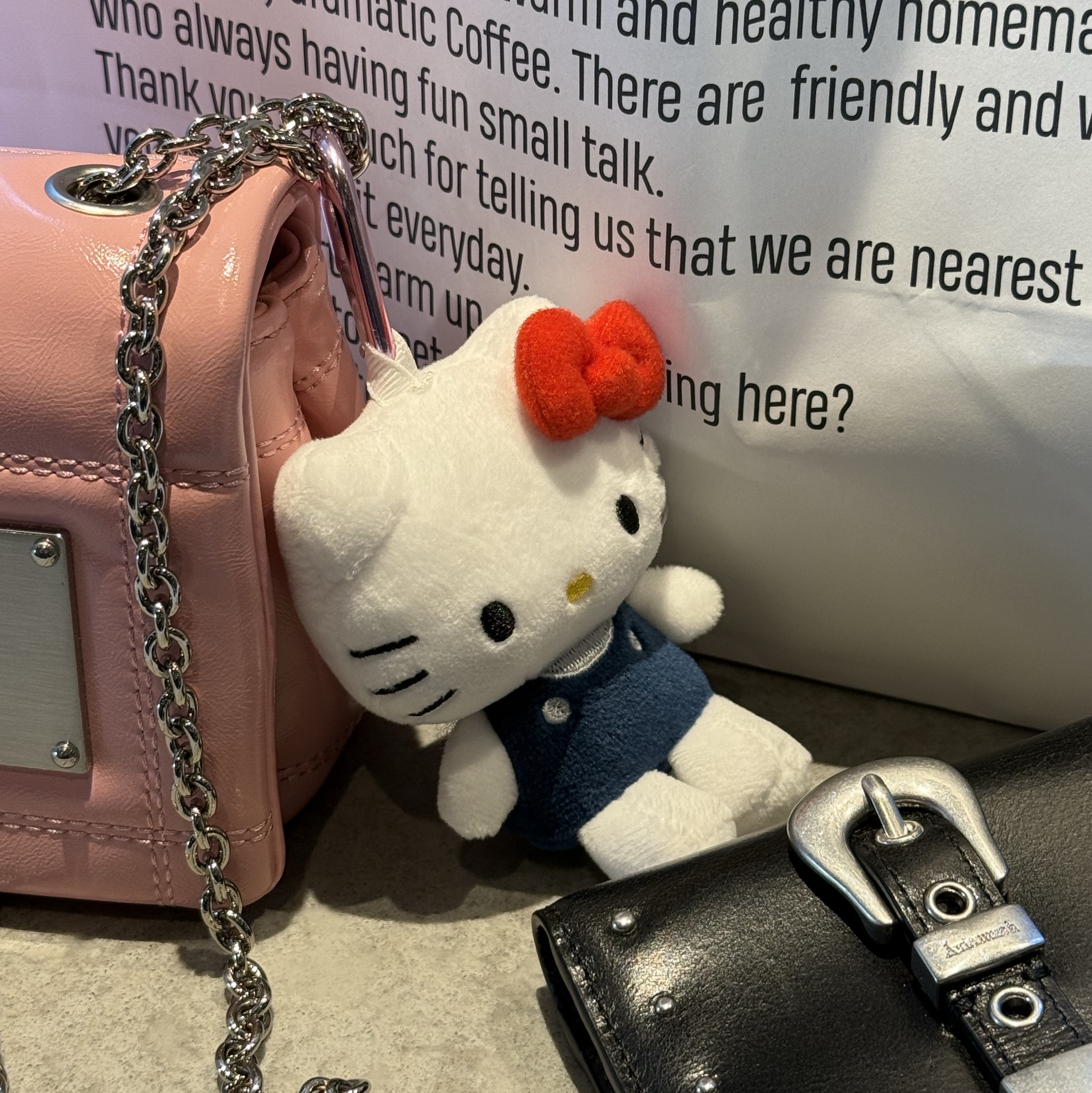 Sanrio Hello Kitty Mini Mascot Holder, Aviemuah Belt Stud Wallet Black 착용 스타일