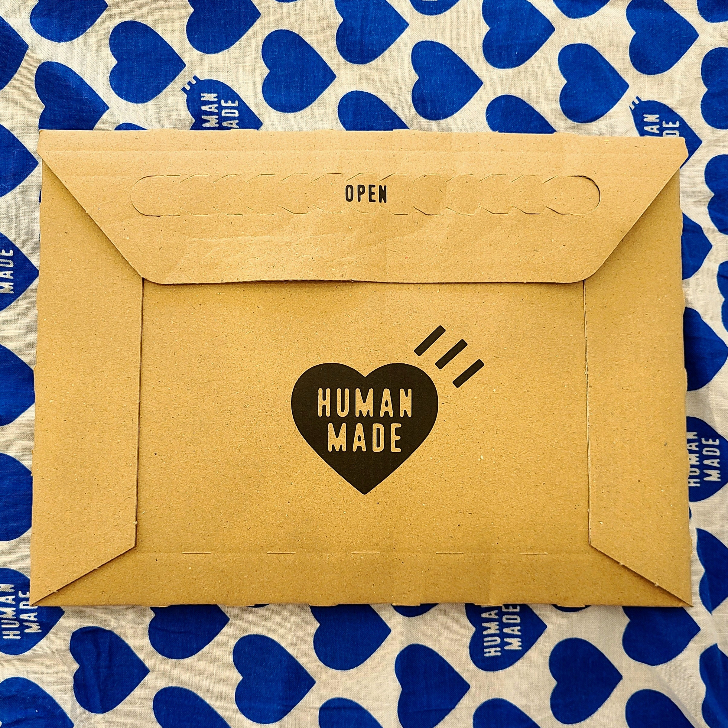 Human Made Big Bandana #2 Navy, Human Made Heart Earrings Green 착용 스타일 - 1