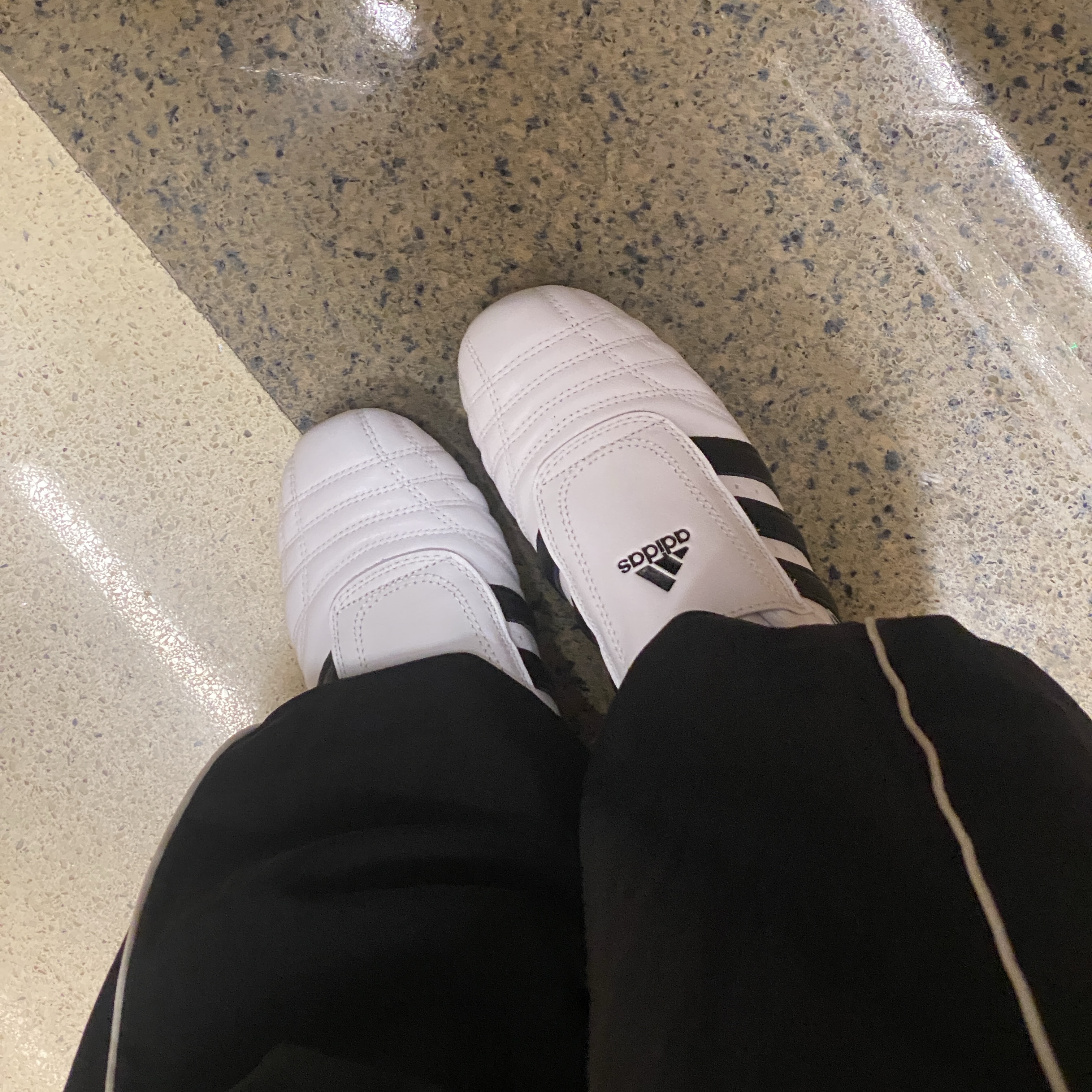 (W) Adidas Taekwondo Cloud White Core Black 착용 스타일