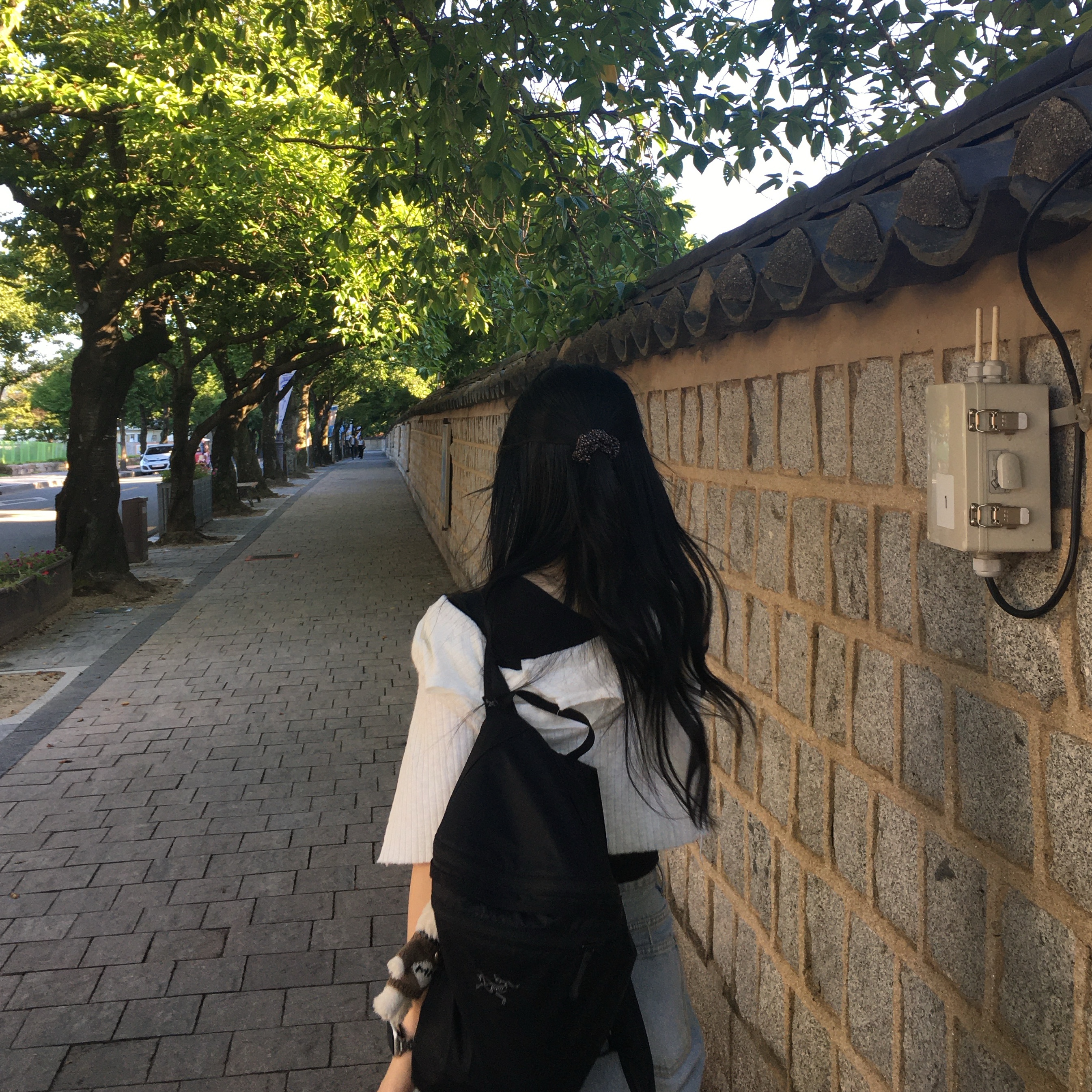 Arc'teryx Heliad 15 Backpack Black 착용 스타일 - 1