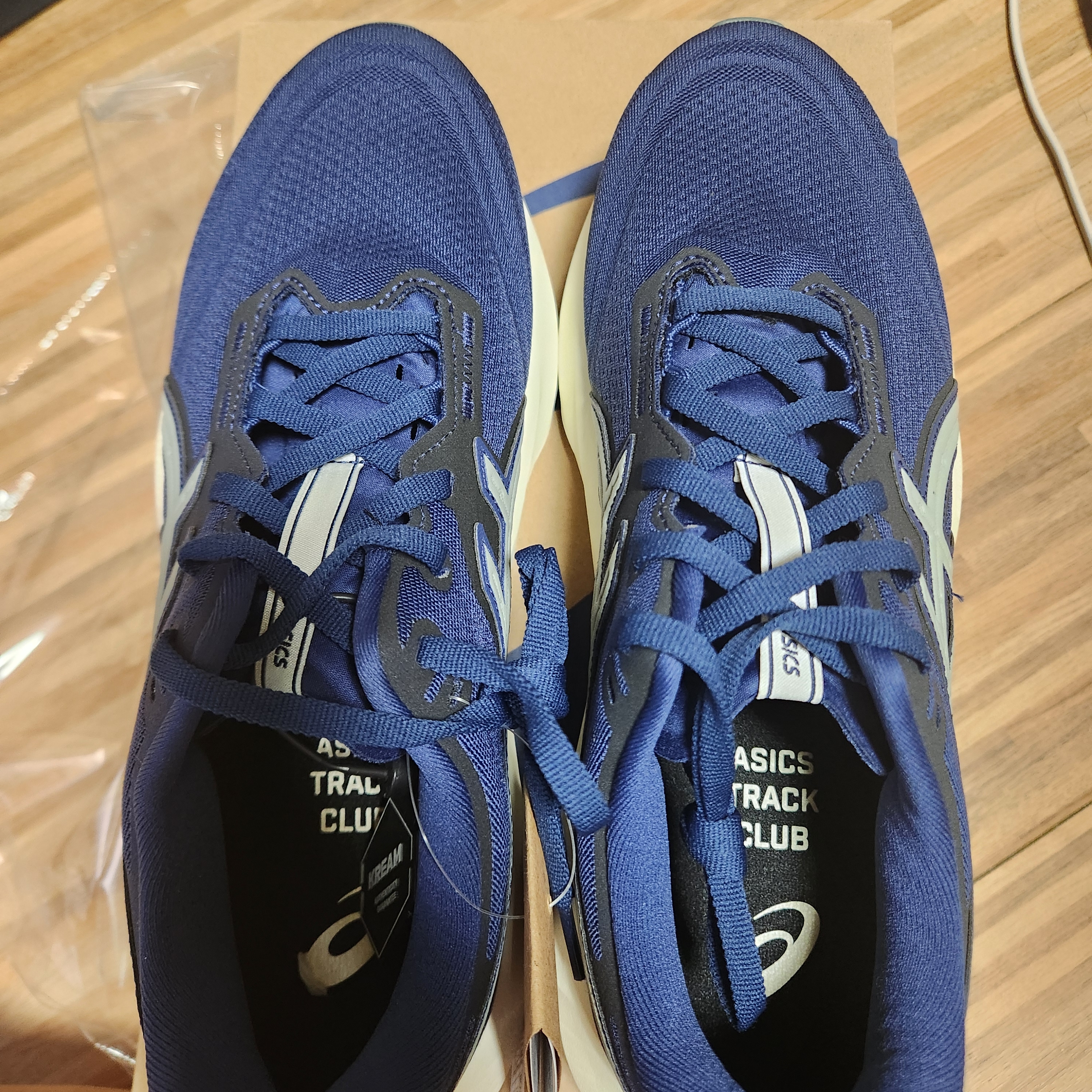 Asics Novablast 5 Indigo Blue Seal Grey 착용 스타일