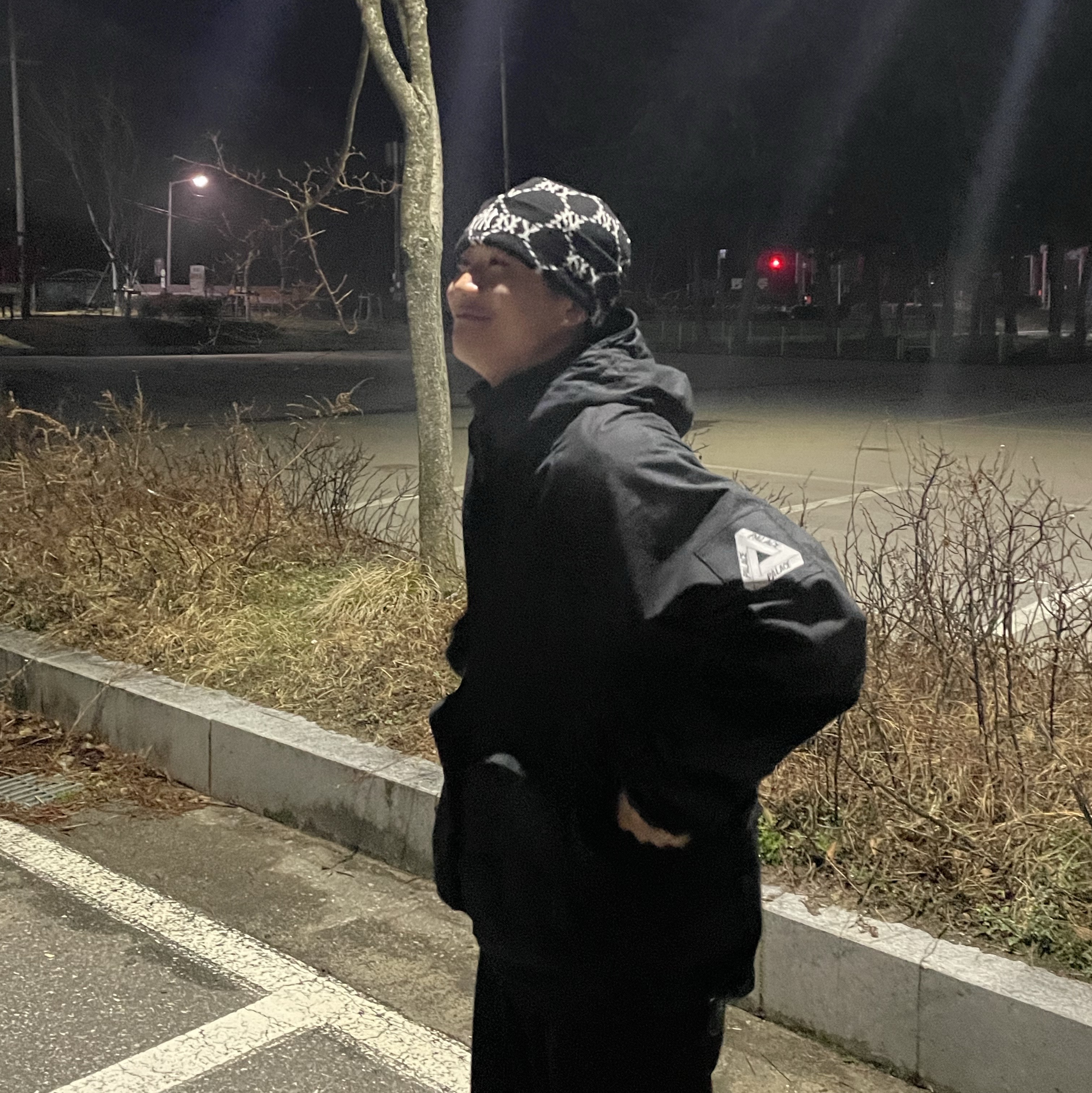 Palace Cell Net Jacket Black - 20FW 착용 스타일