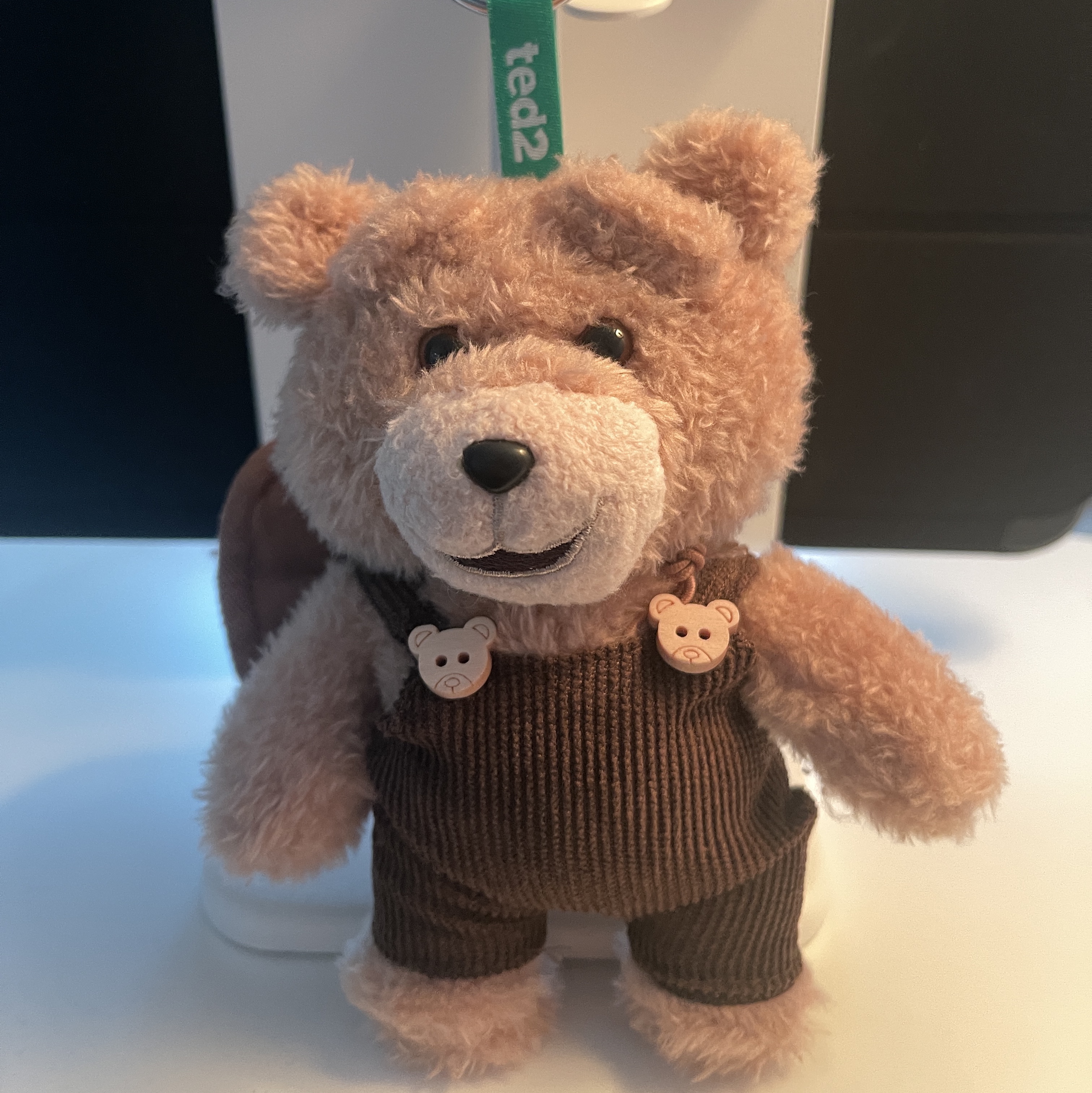 Pop Mart Ted2 Teddy Bear Action Plush Pendant Cowboy Bear (Opened Case) 착용 스타일