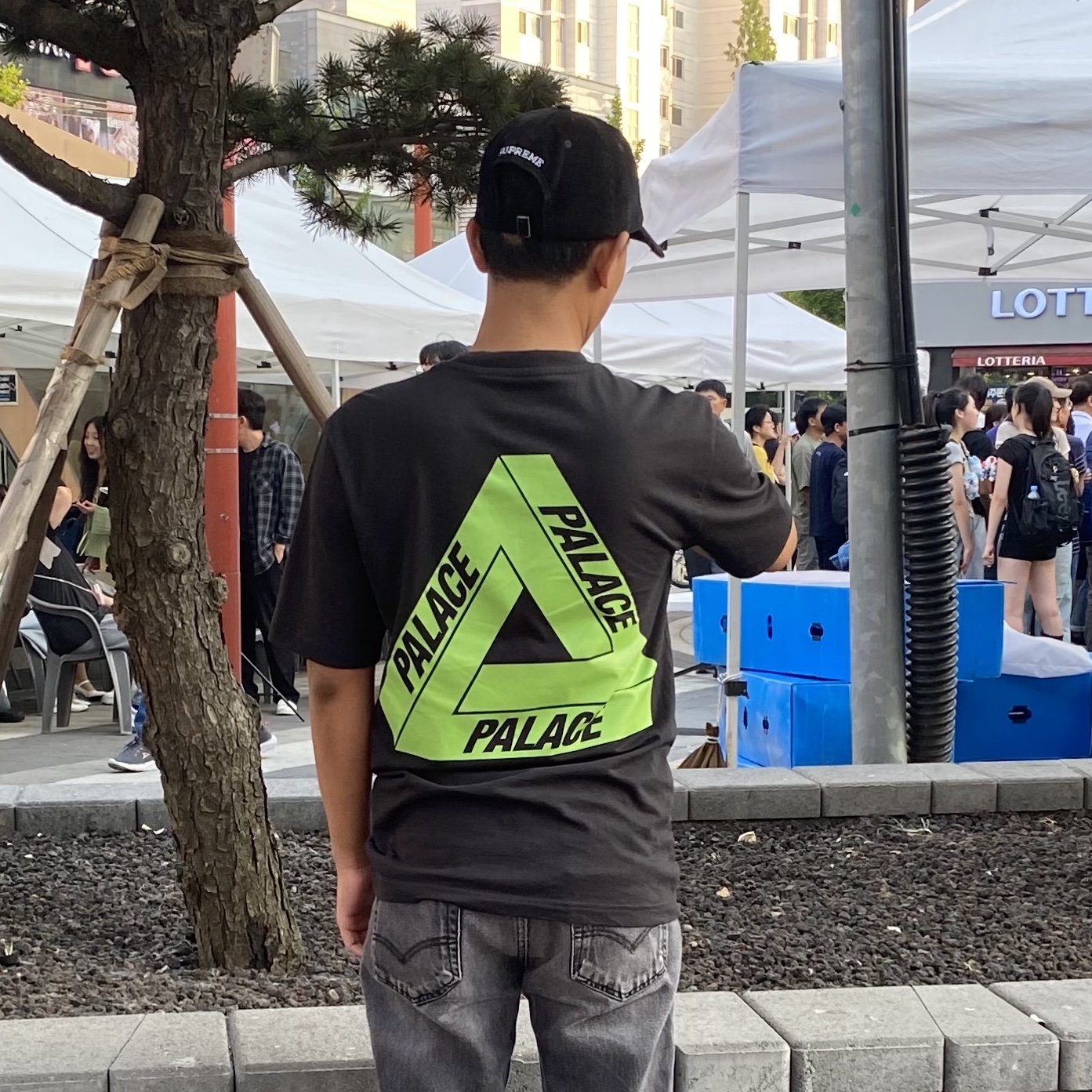 Palace Tri-Vex T-Shirt White Green - 25SS, Supreme Corduroy S Logo 6-Panel Black - 24FW 착용 스타일