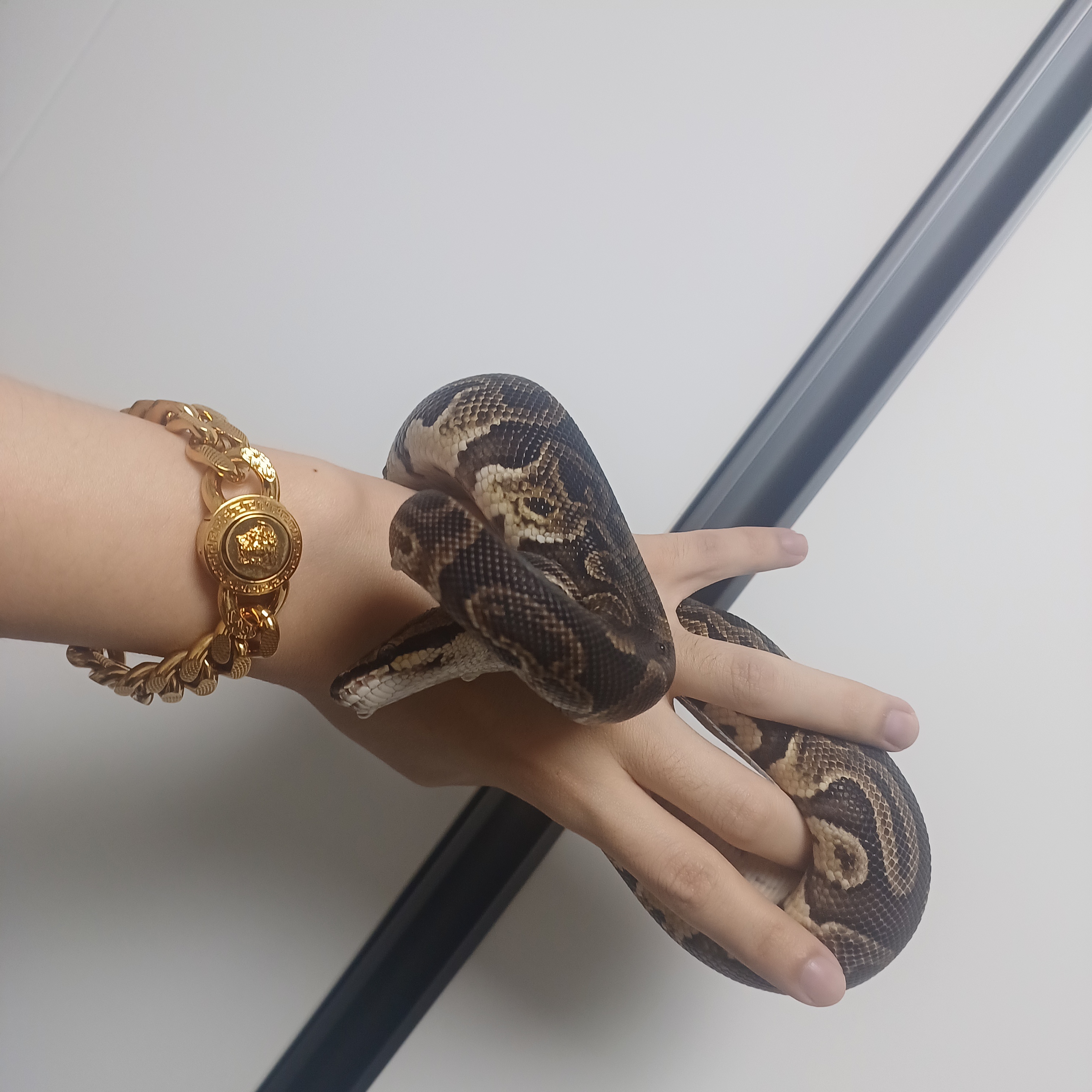 Versace Medusa Chain Bracelet Tribute Gold 착용 스타일