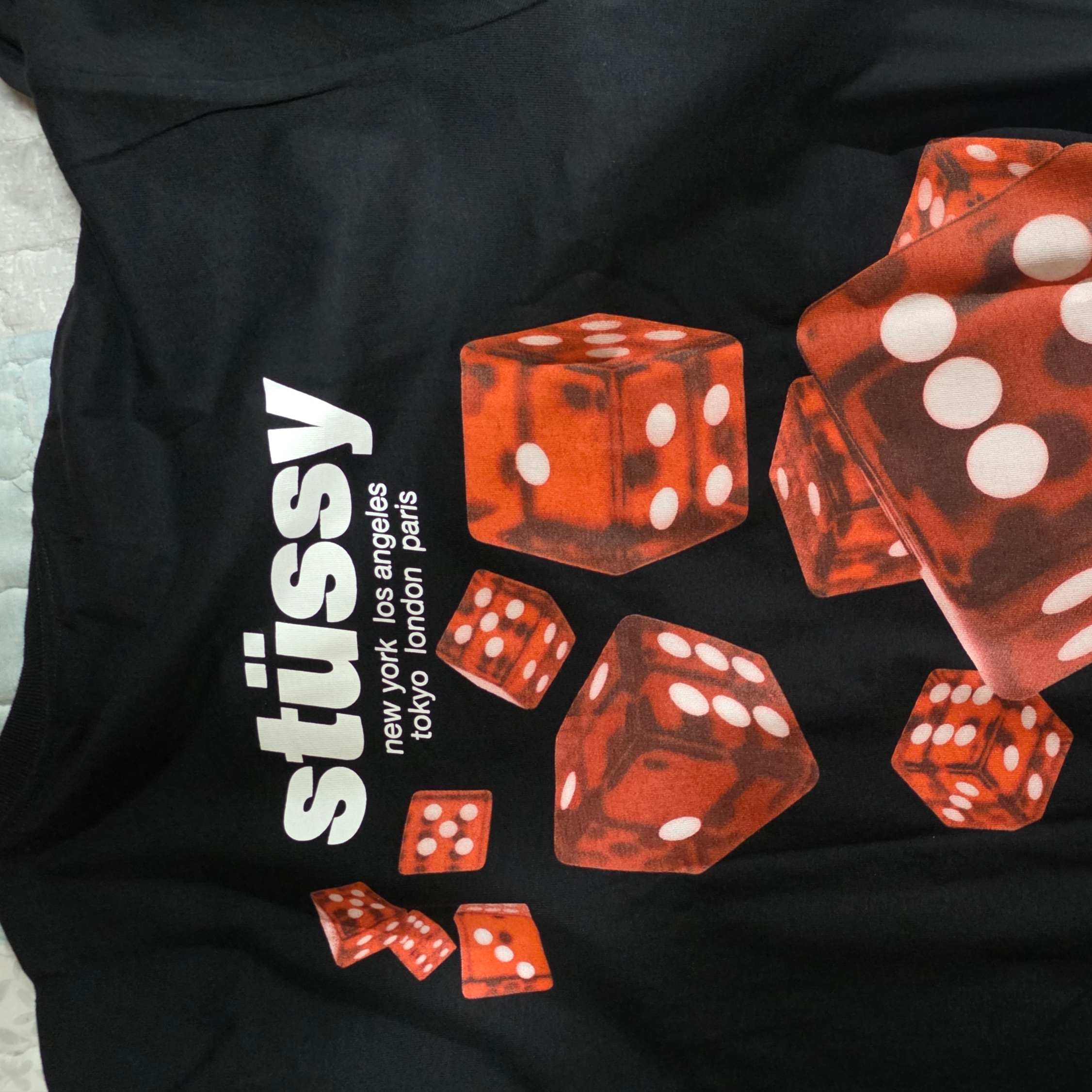 Stussy Rollers T-Shirt Black 착용 스타일