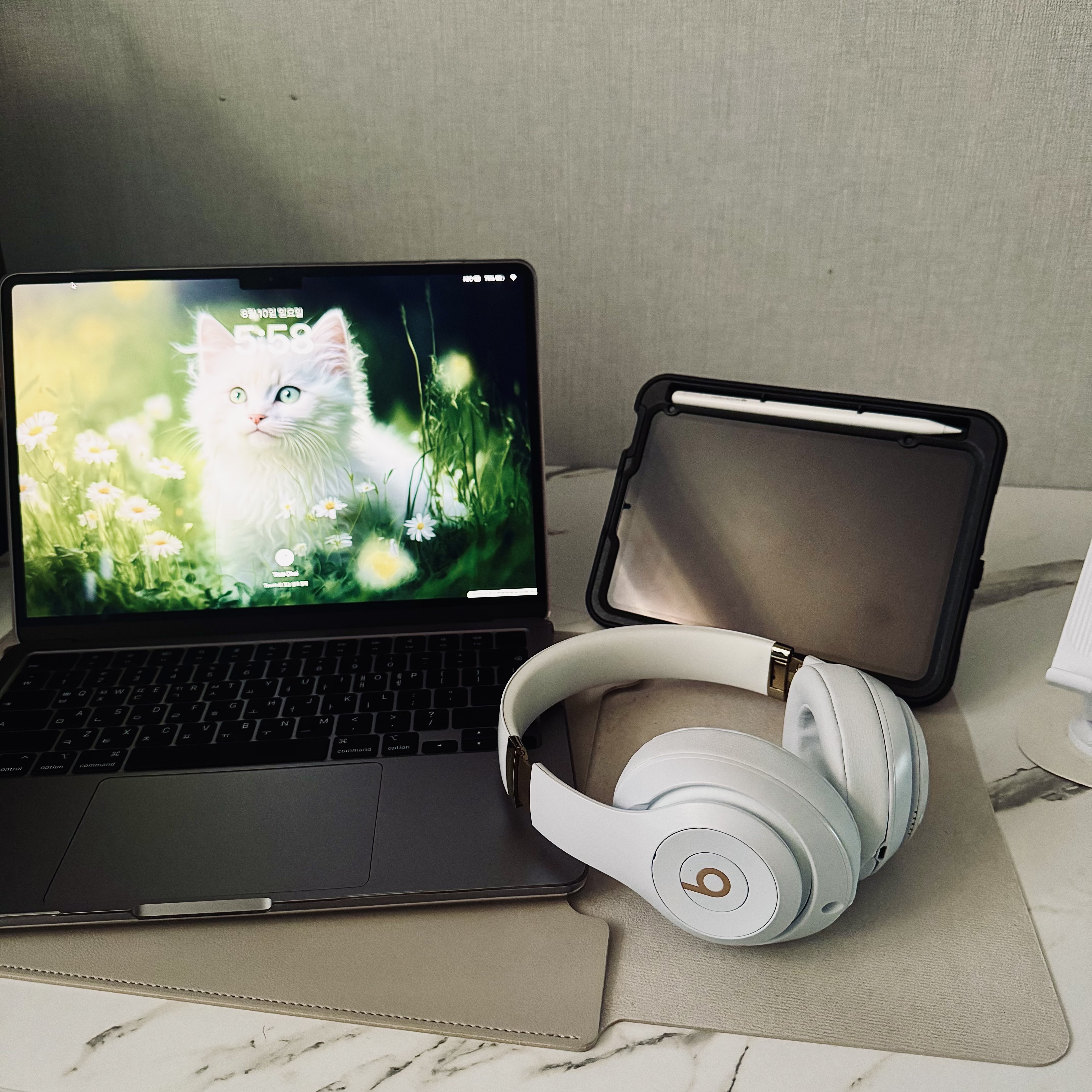 Beats Studio 3 Wireless Over Ear Headphone White (Korean Ver.), [A등급] Refurbished iPad mini Gen-6 wifi A15 Bionic 64GB Spacegray 착용 스타일