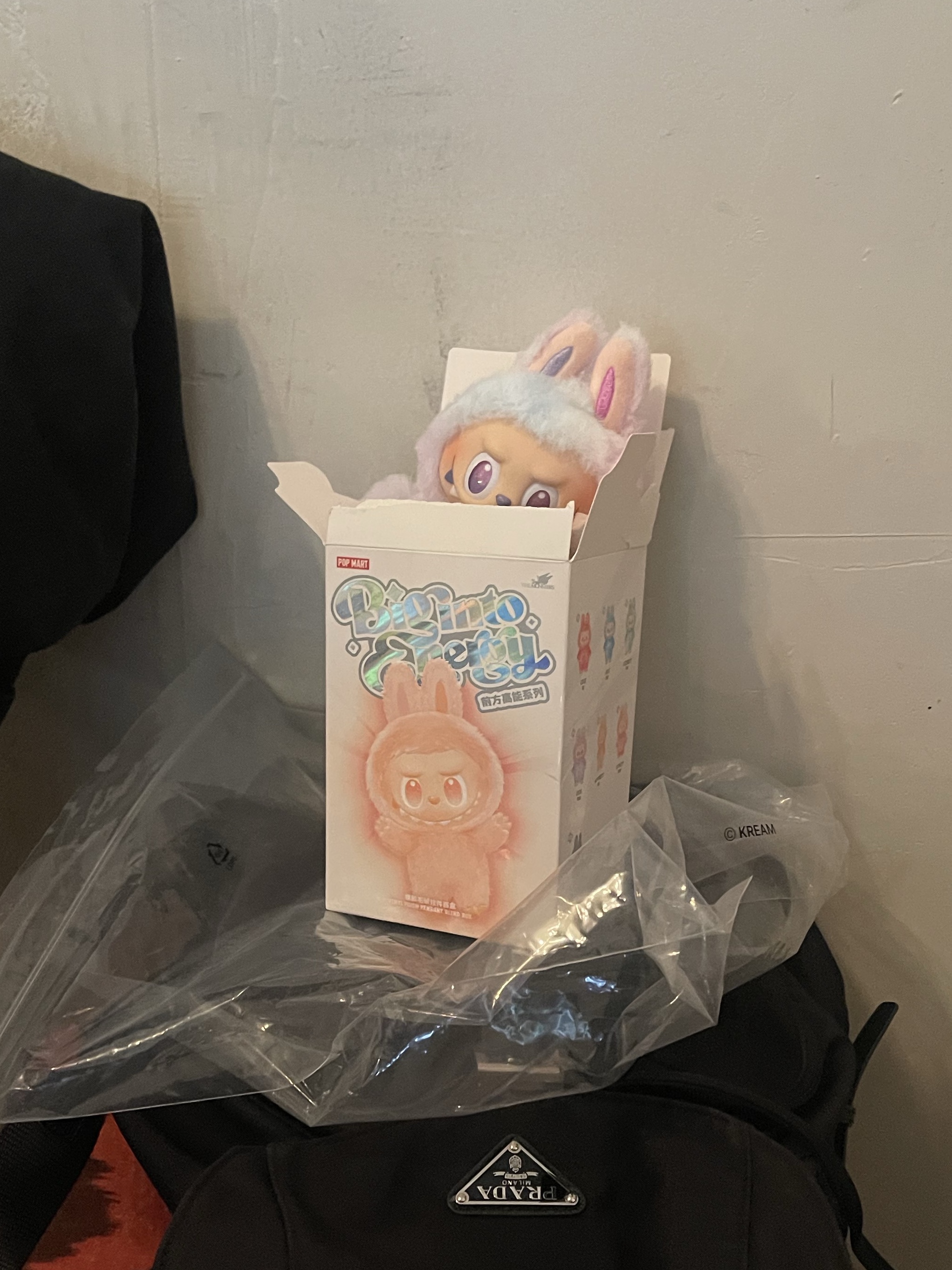 Pop Mart Labubu The Monsters Highlight Series Sealed Case (1 Blind Box), Pop Mart Labubu The Monsters Highlight Series Luck Keyring (Opened Case) 착용 스타일 - 2