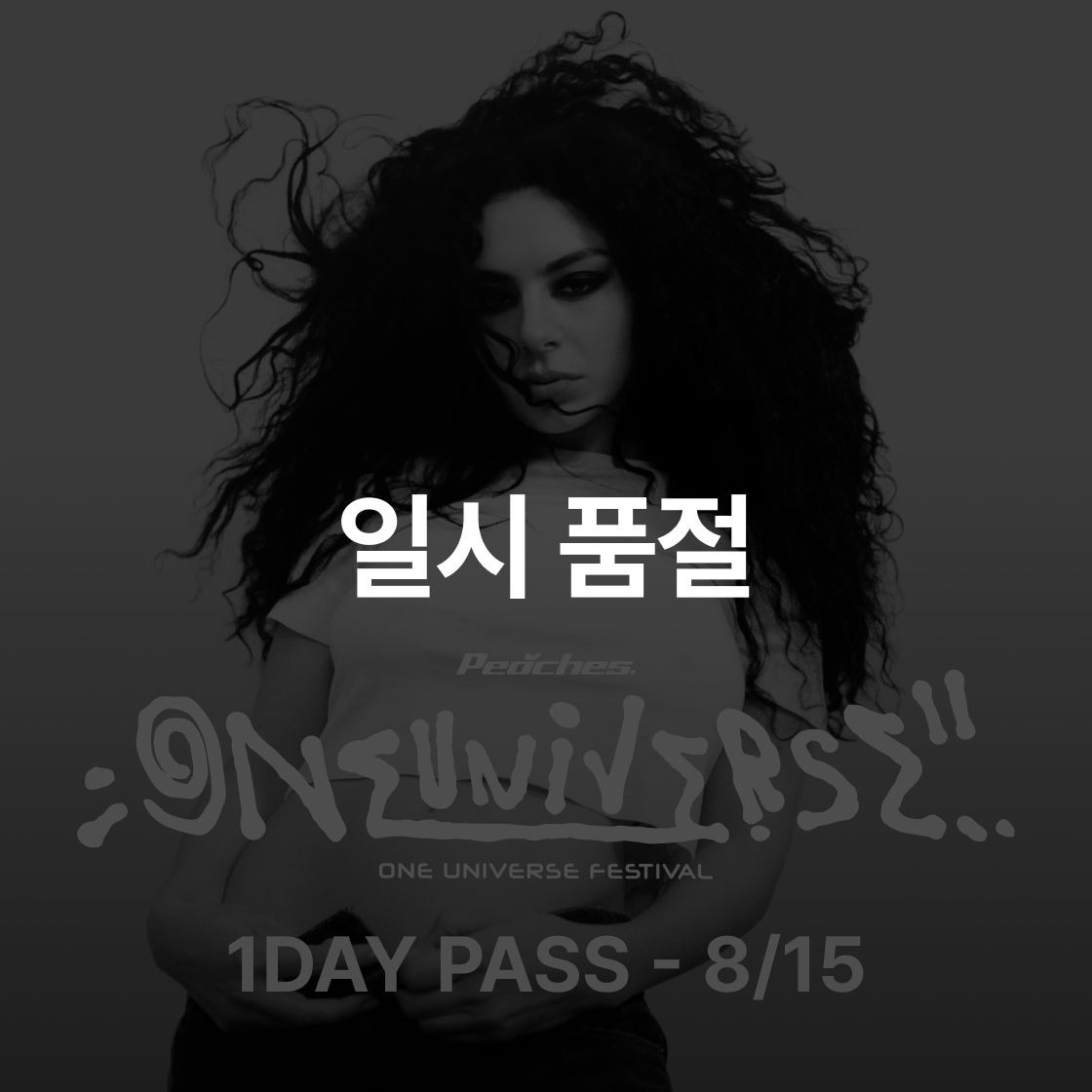 (1 DAY - 8/15 금) 원 유니버스 페스티벌 2025 프리세일 티켓(ONE UNIVERSE FESTIVAL 2025 Pre-sale Ticket (1 DAY PASS - 8/15))