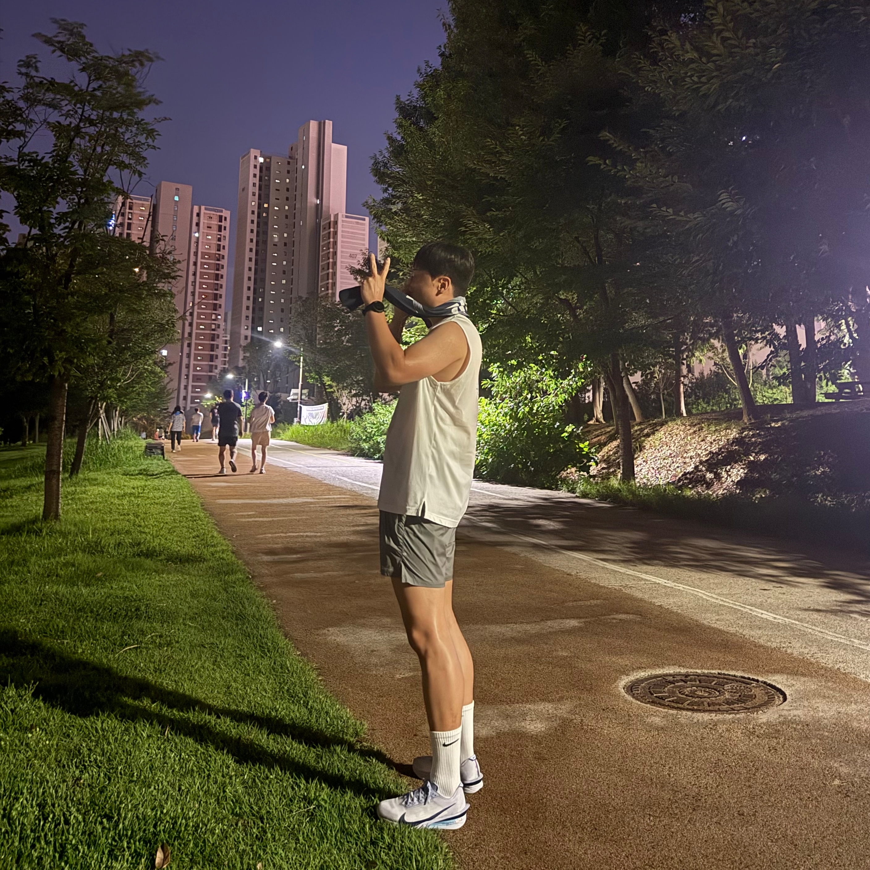Nike ZoomX Vaporfly Next% 4 Ghost Persian Violet 착용 스타일
