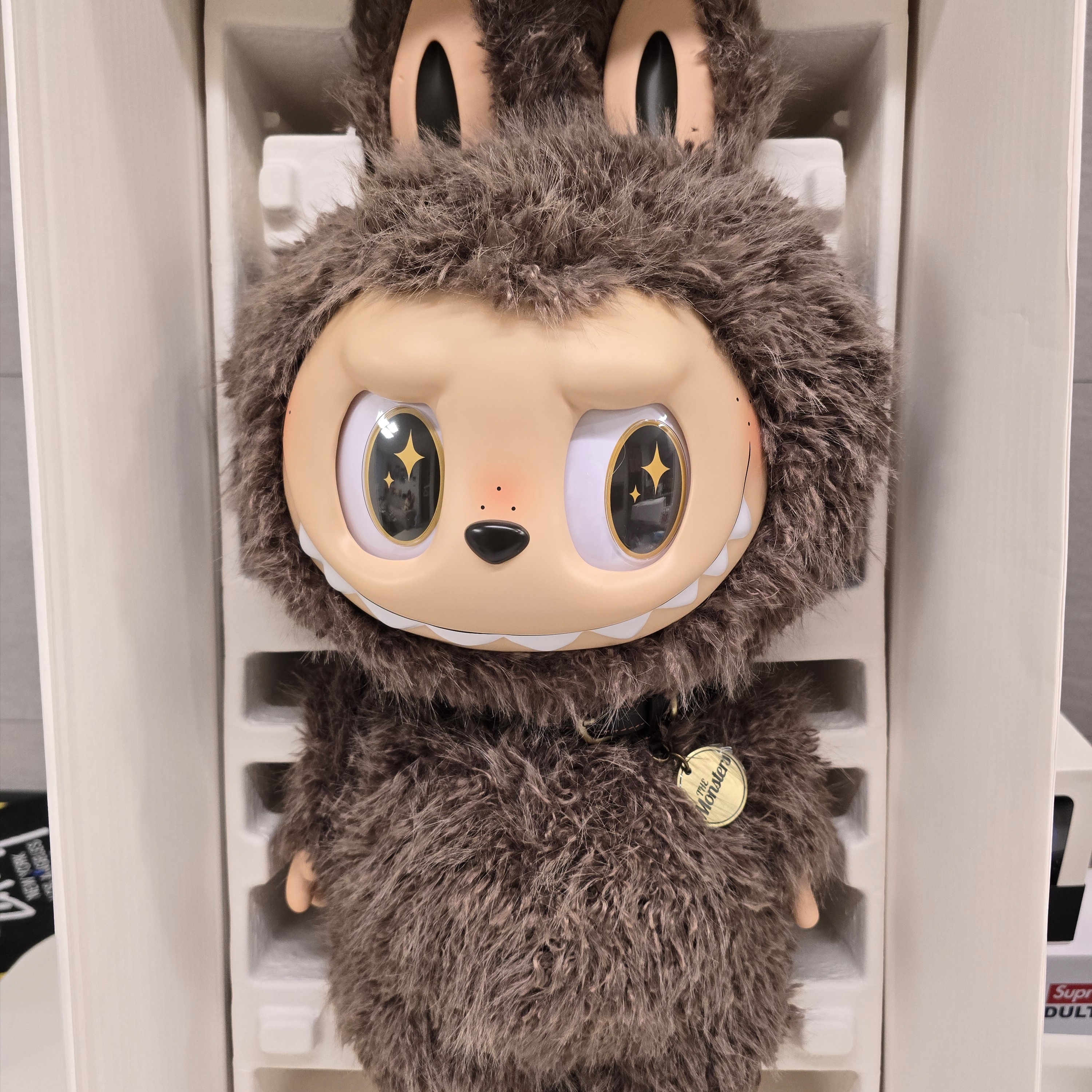 Pop Mart The Monsters I Found You Vinyl Face Doll 착용 스타일