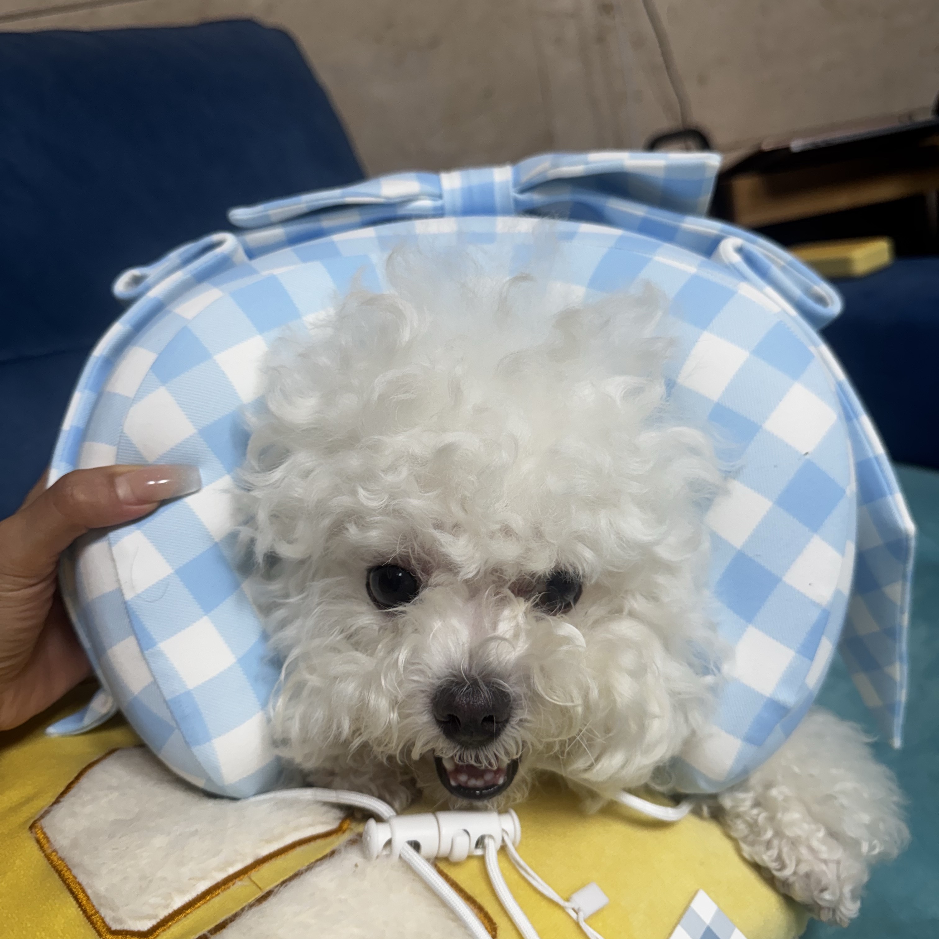 Haus Nowhere x Shushu/Tong Ribbon Neck Pillow 1 Blue Check ์ฐฉ์ฉ ์คํ์ผ - 1