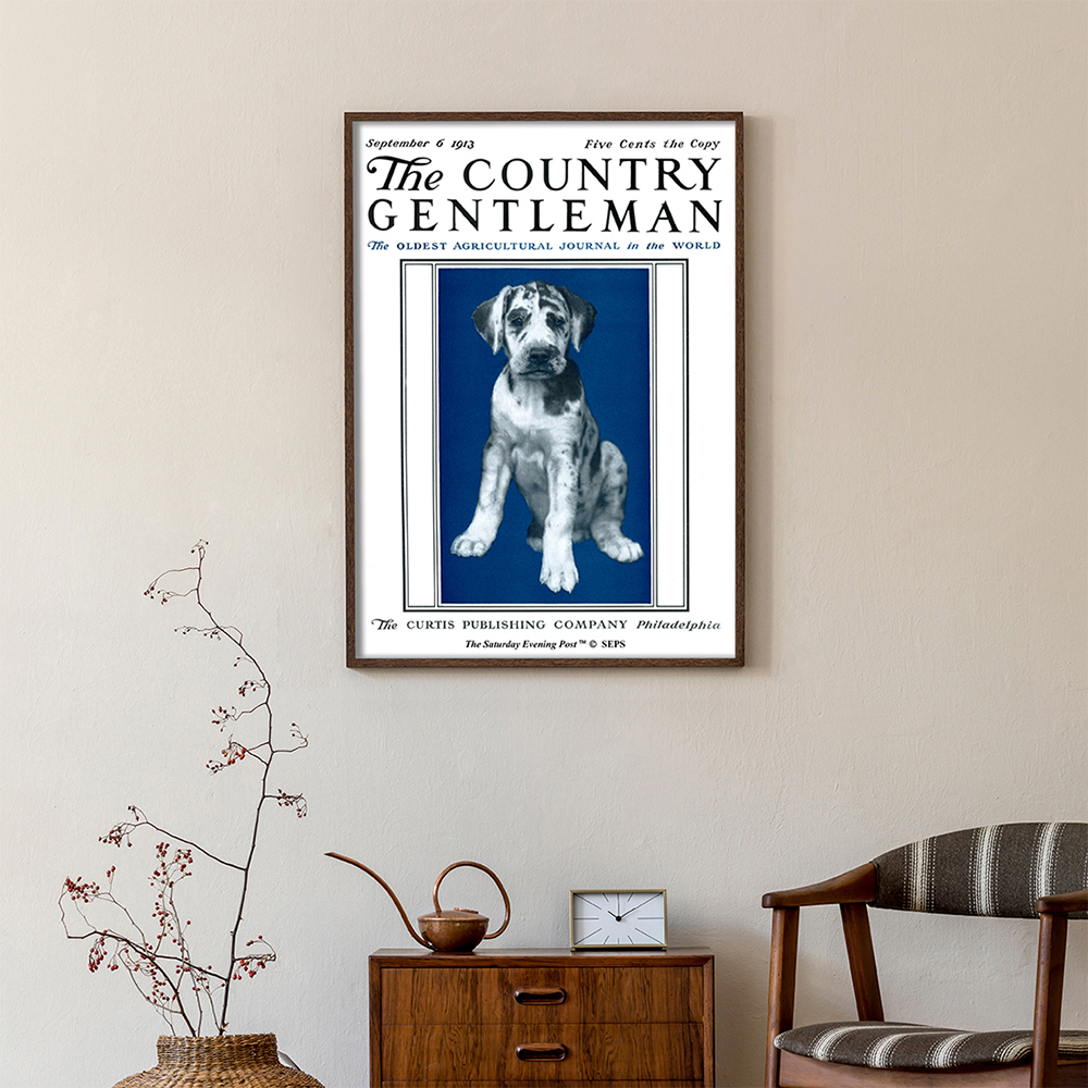 더 새터데이 이브닝 포스트 프레임 포스터_강아지 초상_A2(The Saturday Evening Post Framed Poster_Puppy Portrait_A2) - 2