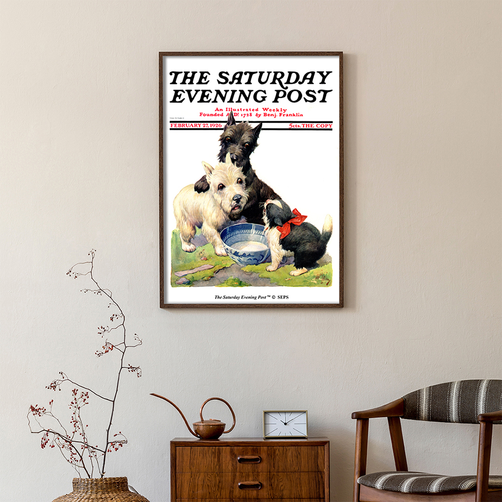 더 새터데이 이브닝 포스트 프레임 포스터_우유 그릇 경비대 고양이_A2(The Saturday Evening Post Framed Poster_Cat Guards Bowl of Milk_A2) - 2