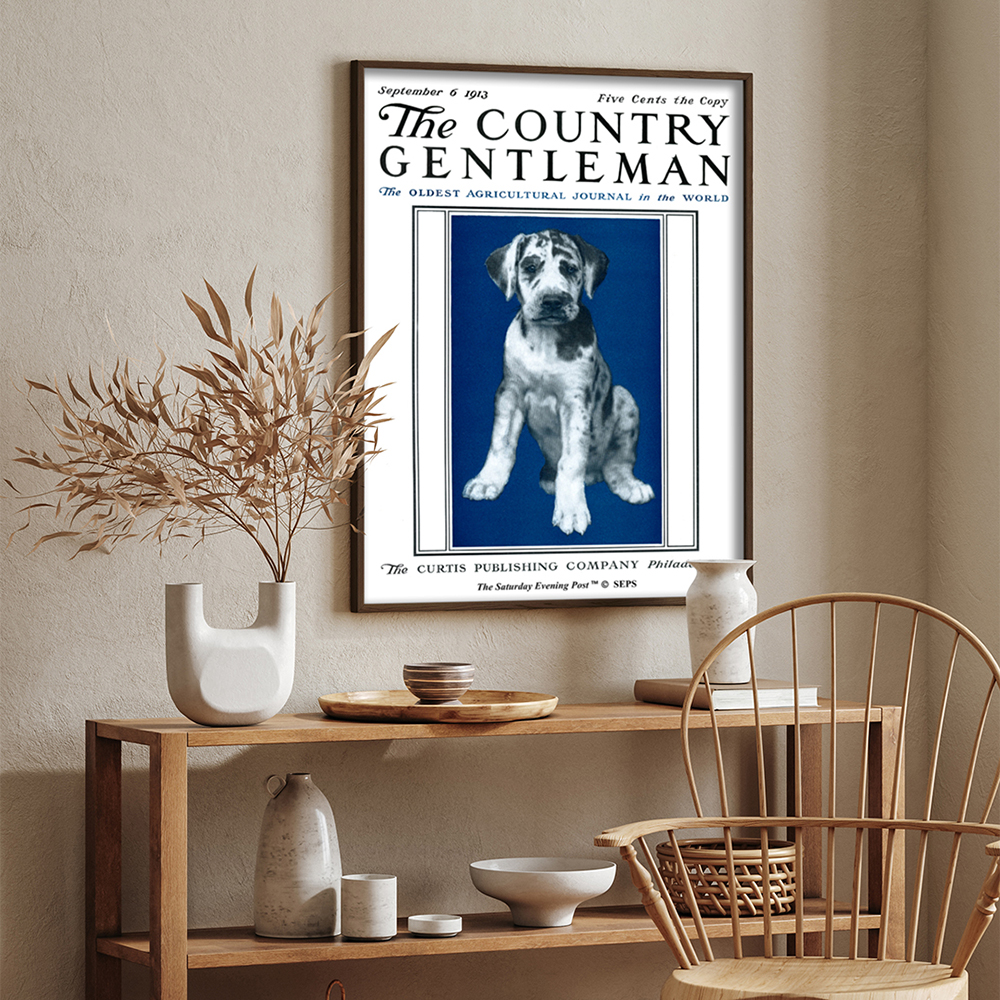 더 새터데이 이브닝 포스트 프레임 포스터_강아지 초상_A2(The Saturday Evening Post Framed Poster_Puppy Portrait_A2) - 4