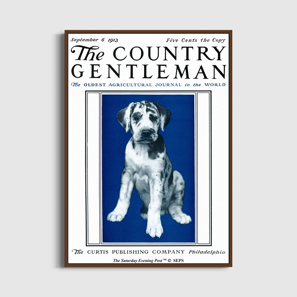 SFX3GD710A The Saturday Evening Post Framed Poster_Puppy Portrait_A2