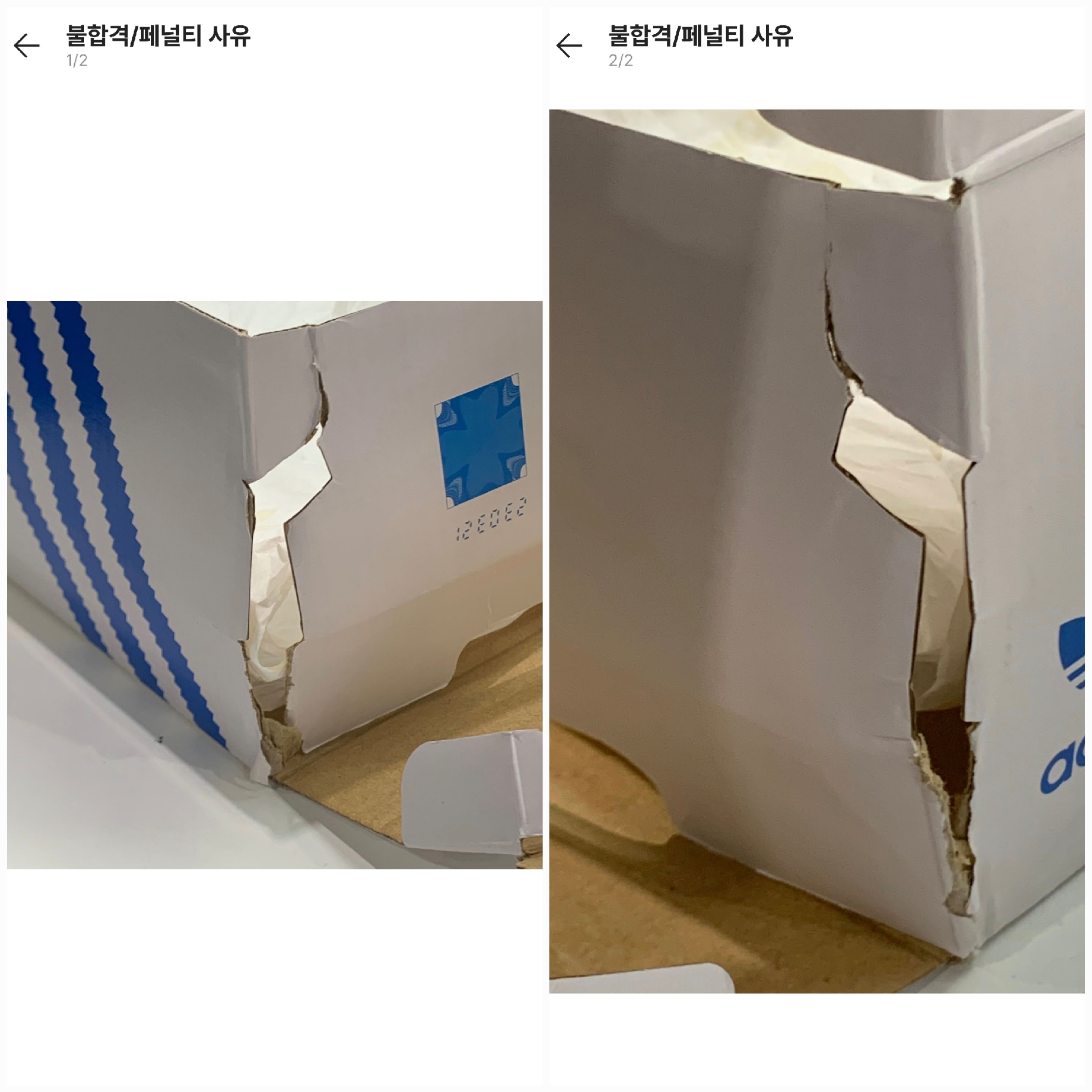 Adidas x Jeremy Scott Forum 84 Low Wings Money 착용 스타일 - 4