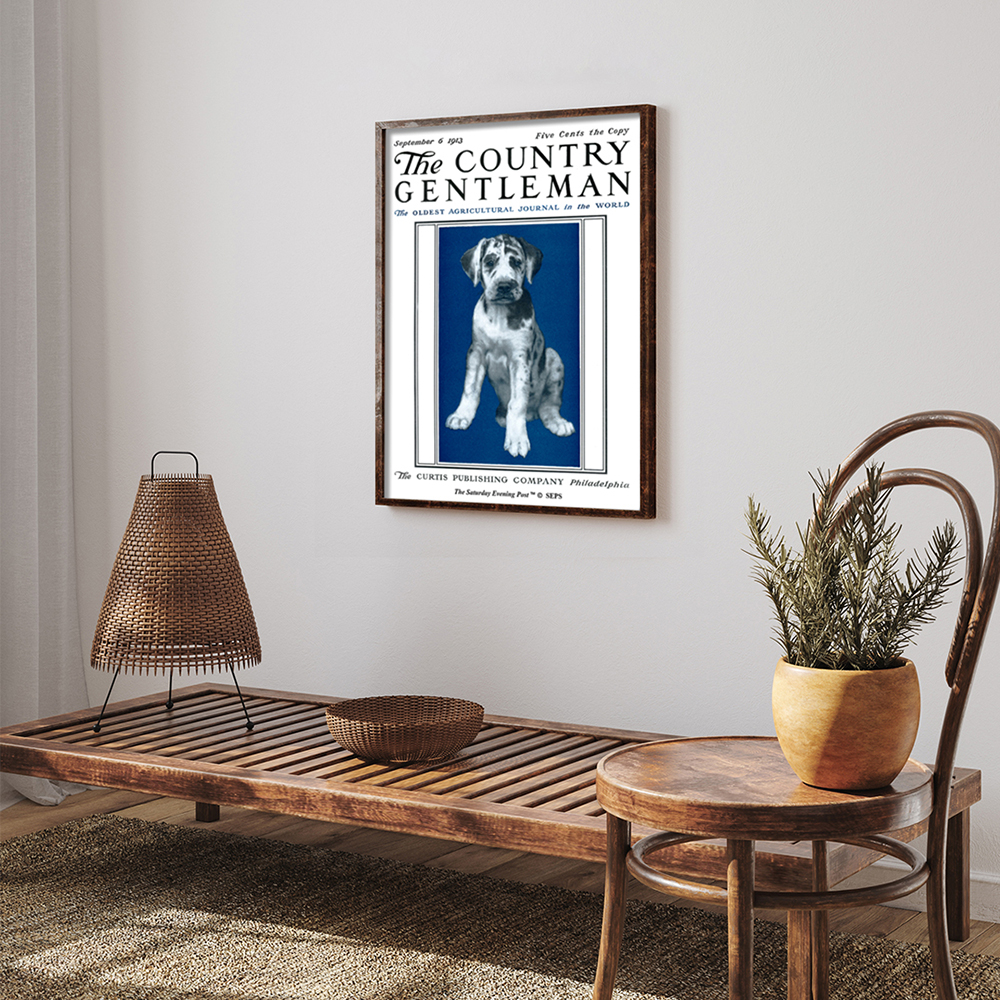 더 새터데이 이브닝 포스트 프레임 포스터_강아지 초상_A2(The Saturday Evening Post Framed Poster_Puppy Portrait_A2) - 5