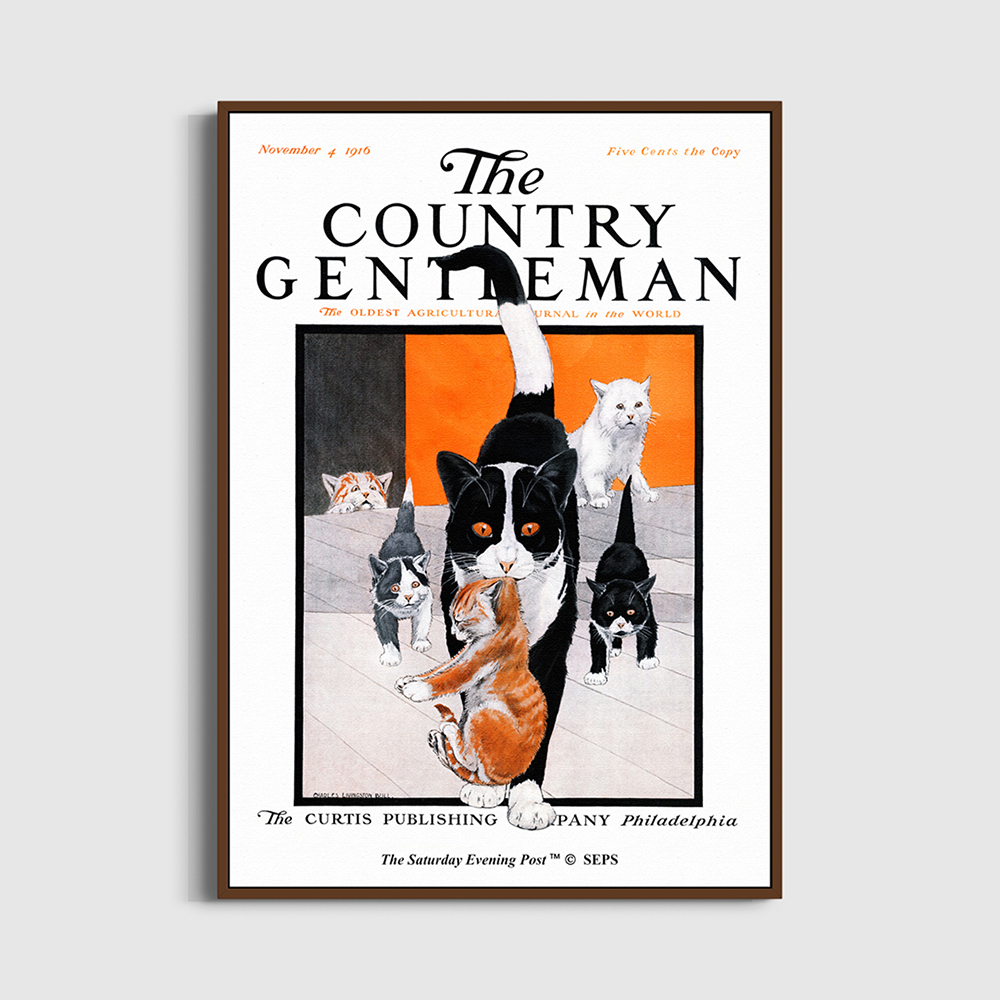 SFX3GD712A The Saturday Evening Post Framed Poster_Mother Cat and Kittens_A2