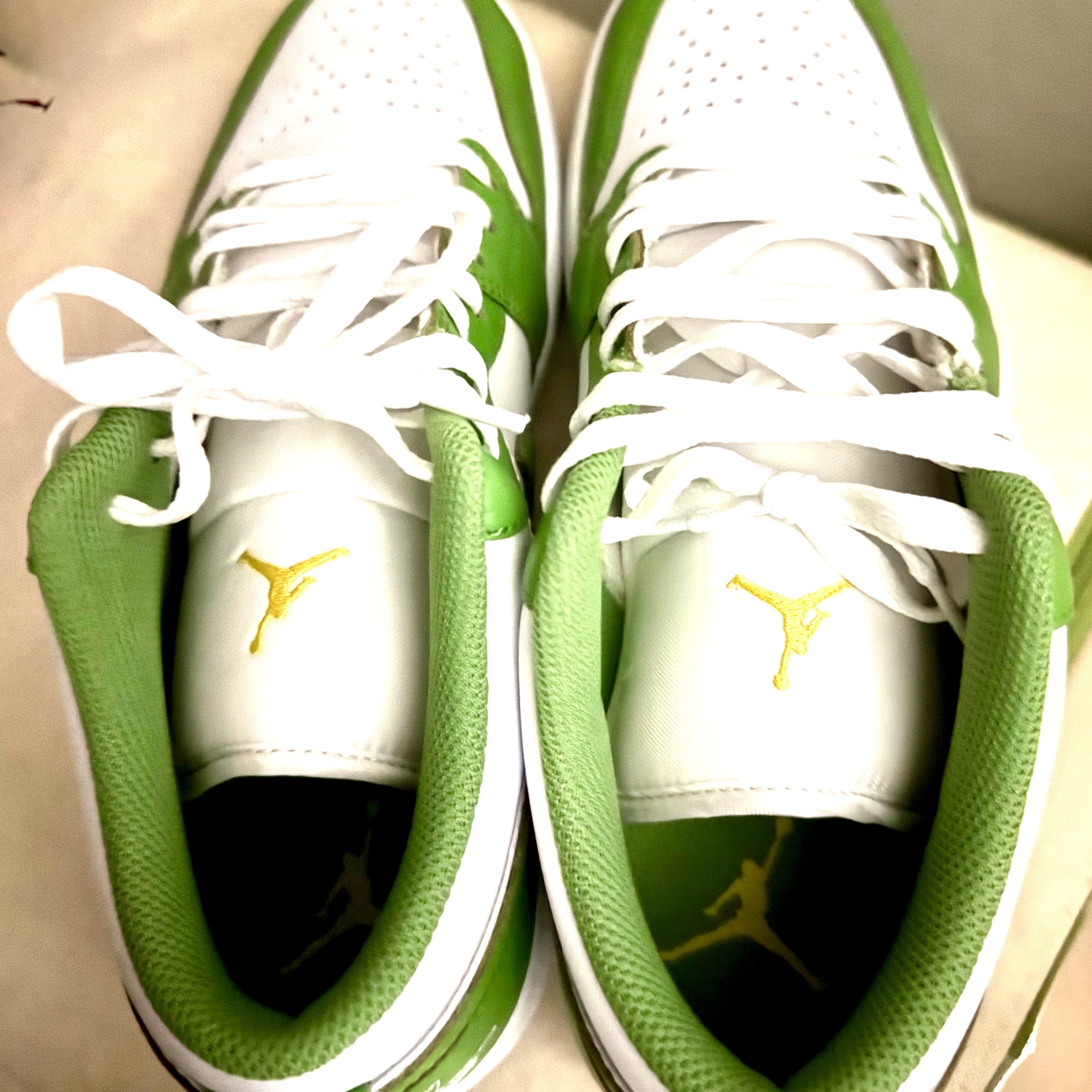 Jordan 1 Low SE White Chlorophyll 착용 스타일