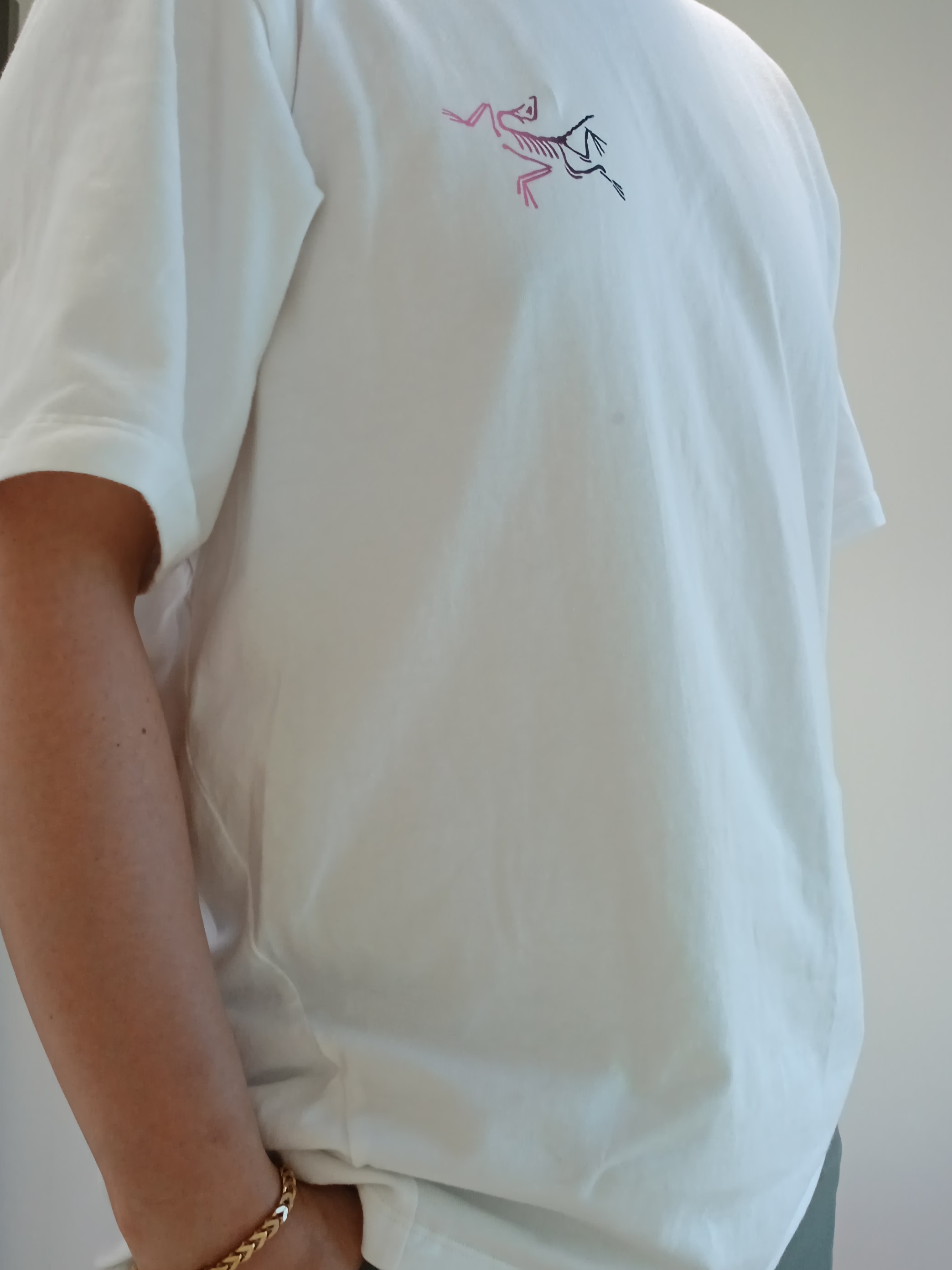 Arc'teryx Kragg Cotton Logo SS T-Shirt White Light Soul, Arc'teryx Cronin Shorts 11 Inch Black 착용 스타일 - 2