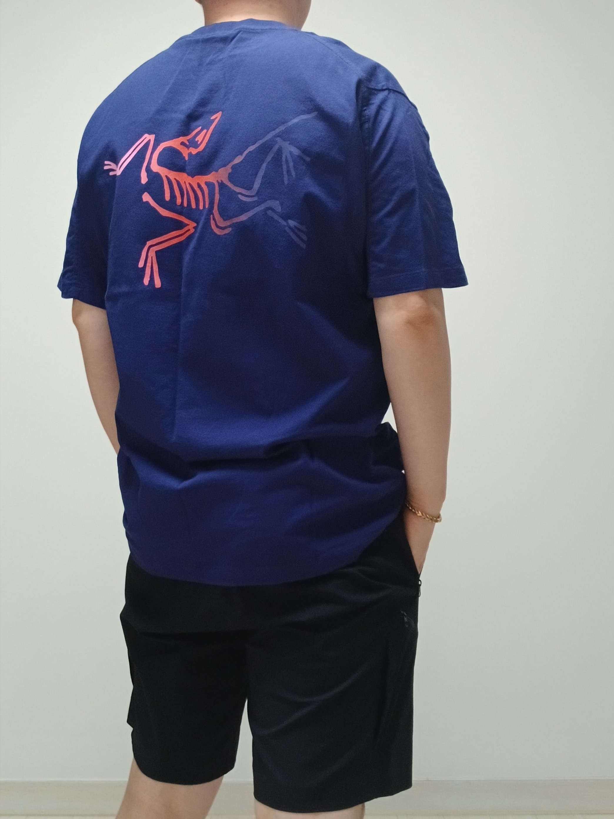 Arc'teryx Kragg Cotton Logo SS T-Shirt Soulsonic Dynasty, Arc'teryx Gamma Quick Dry Shorts 9 Inch Black 착용 스타일 - 9