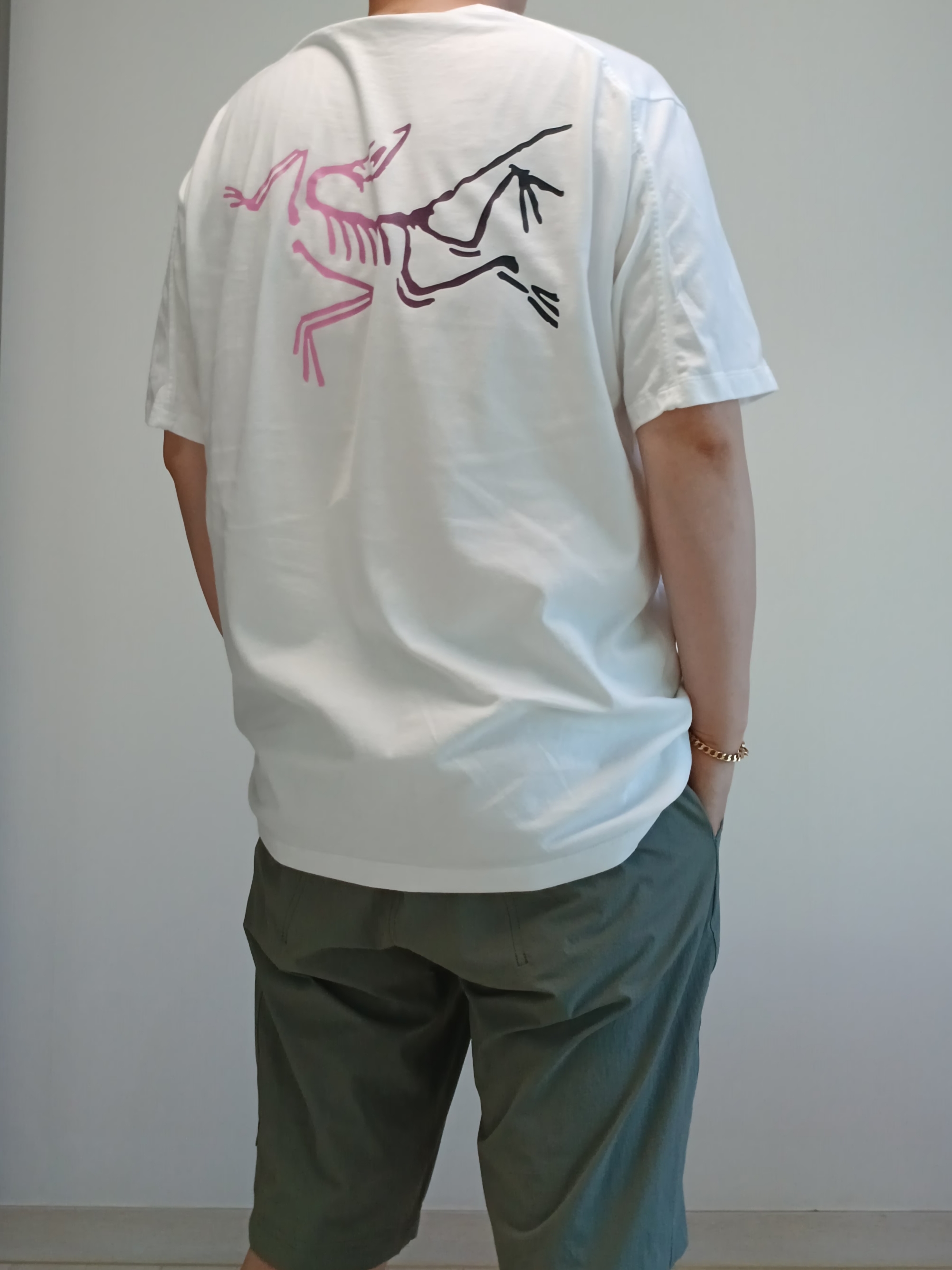 Arc'teryx Kragg Cotton Logo SS T-Shirt White Light Soul, Arc'teryx Cronin Shorts 11 Inch Black 착용 스타일 - 6