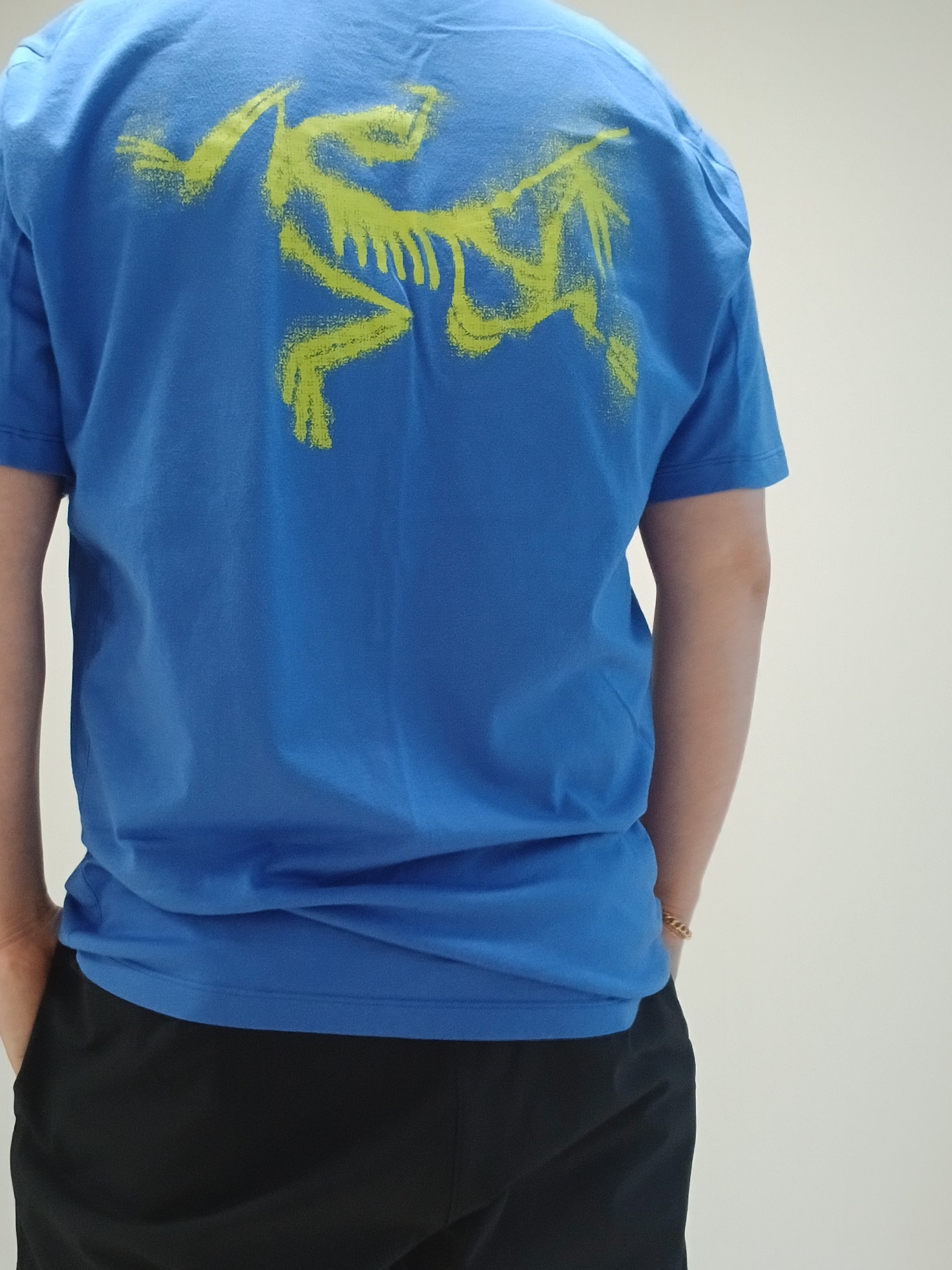 Arc'teryx Kragg SL Cotton Blurred Bird SS T-Shirt Electra Euphoria, Hoka Ora Athletic Slide Black White 착용 스타일 - 6