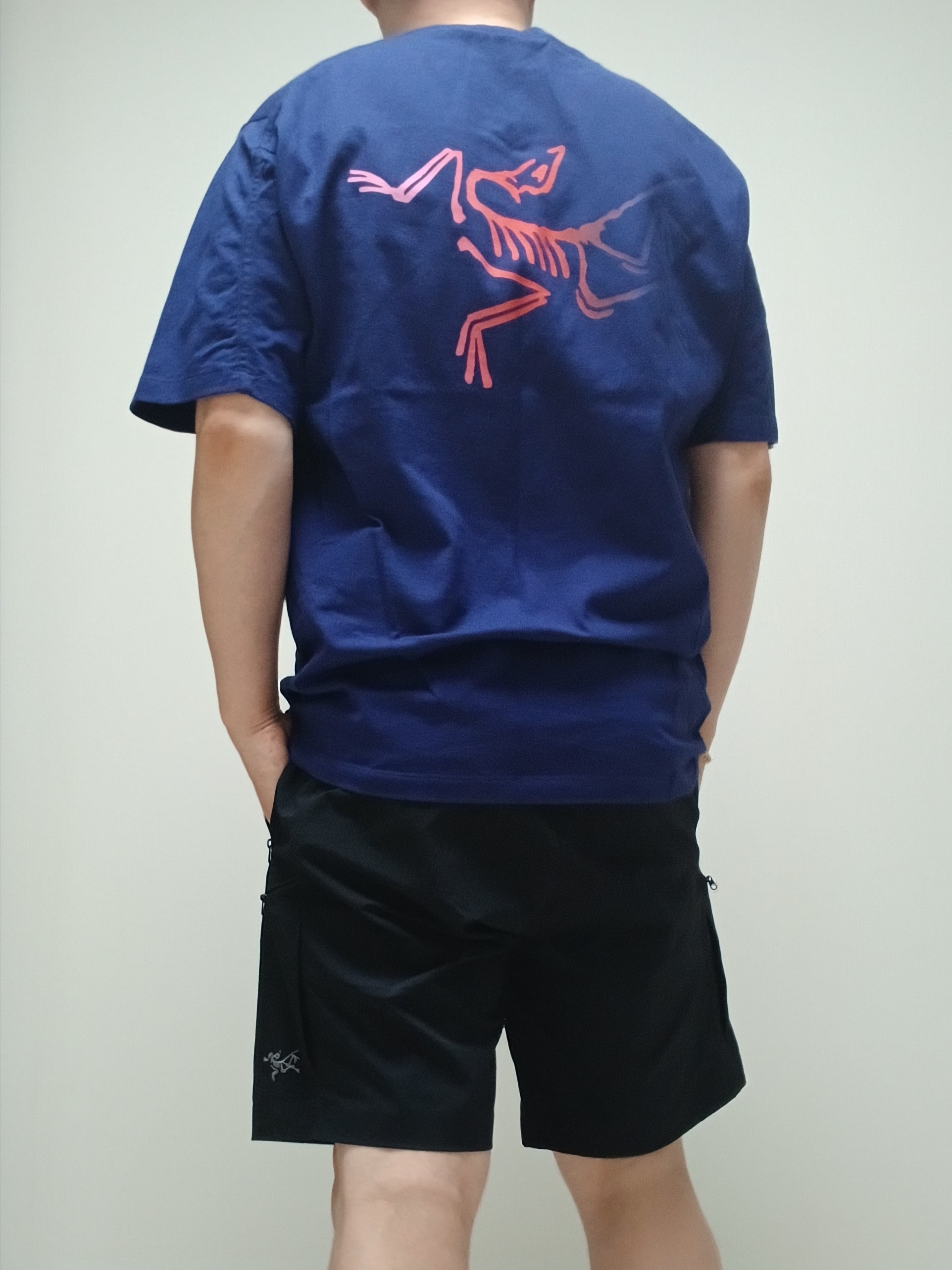 Arc'teryx Kragg Cotton Logo SS T-Shirt Soulsonic Dynasty, Arc'teryx Gamma Quick Dry Shorts 9 Inch Black 착용 스타일 - 8