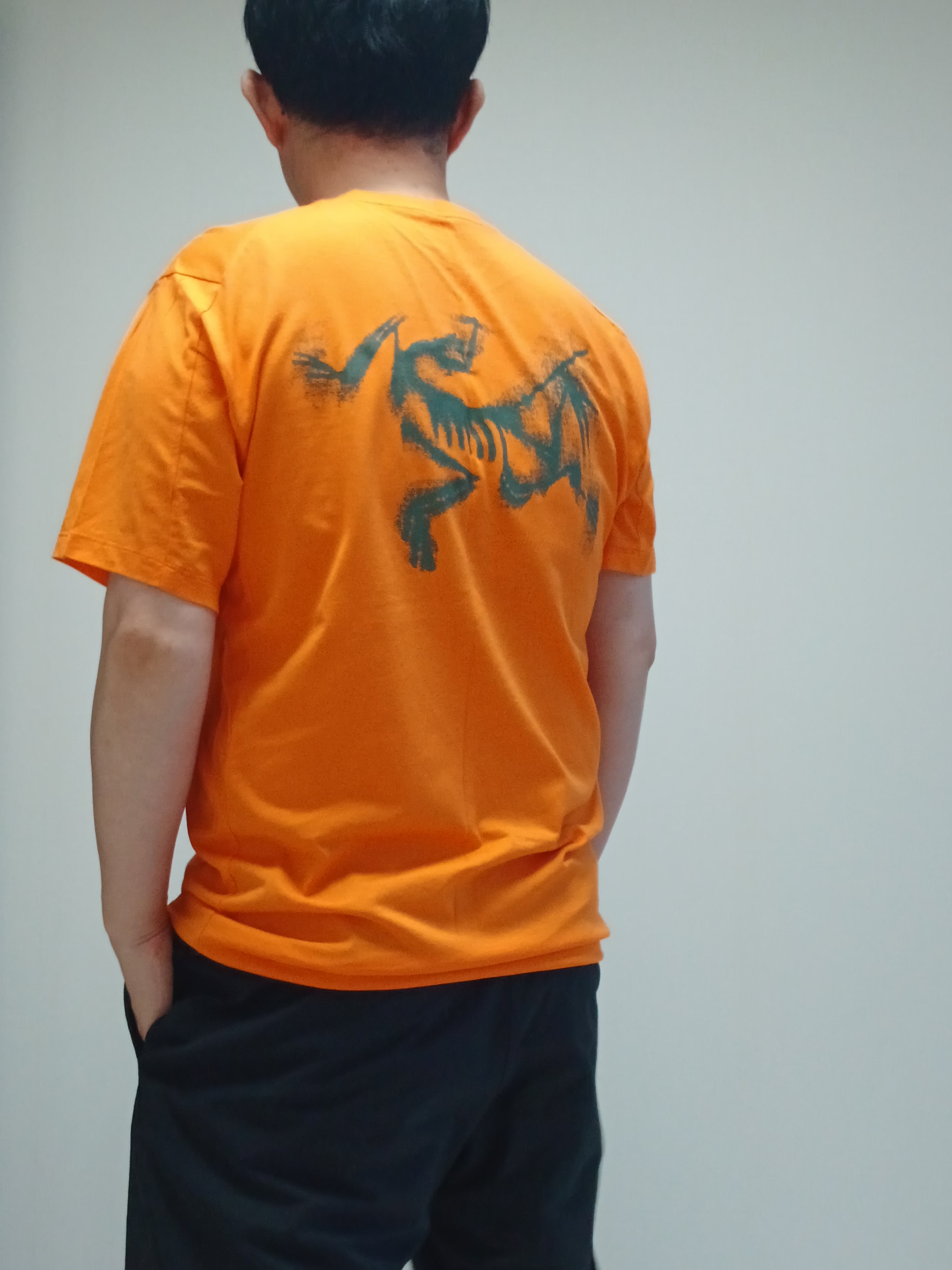 Arc'teryx Kragg SL Cotton Blurred Bird SS T-Shirt Verve Forage, Lululemon Zeroed In Linerless Short 5 inch Black 착용 스타일 - 3
