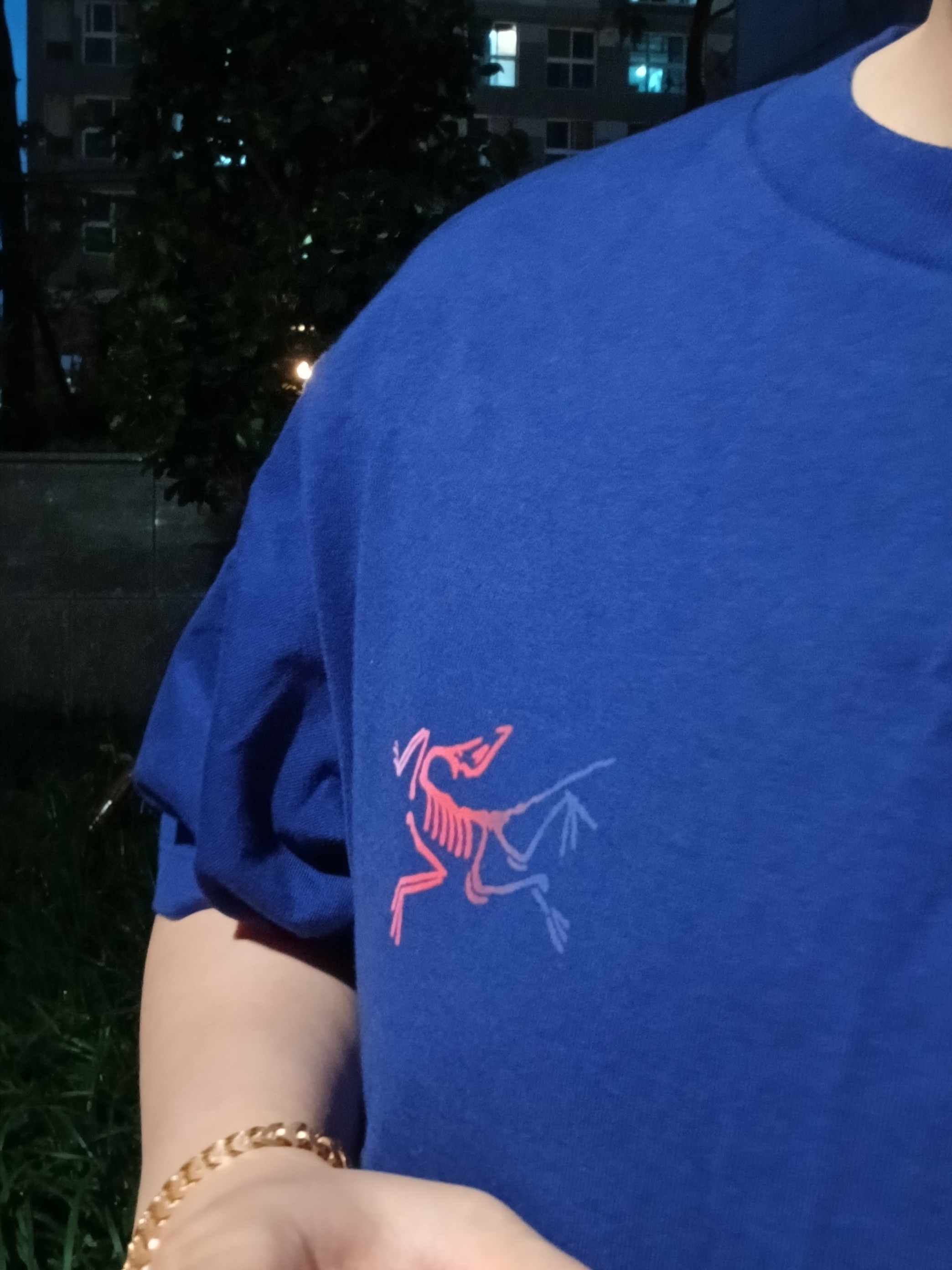 Arc'teryx Kragg Cotton Logo SS T-Shirt Soulsonic Dynasty, Arc'teryx Gamma Quick Dry Shorts 9 Inch Black 착용 스타일 - 6