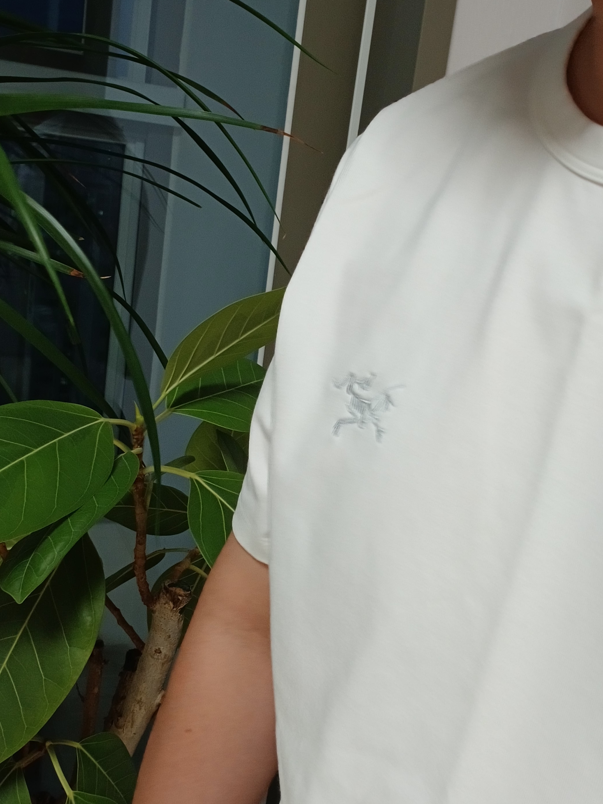 Arc'teryx Captive Arc'word SS T-Shirt White Light, Hoka Ora Athletic Slide Black White 착용 스타일 - 7