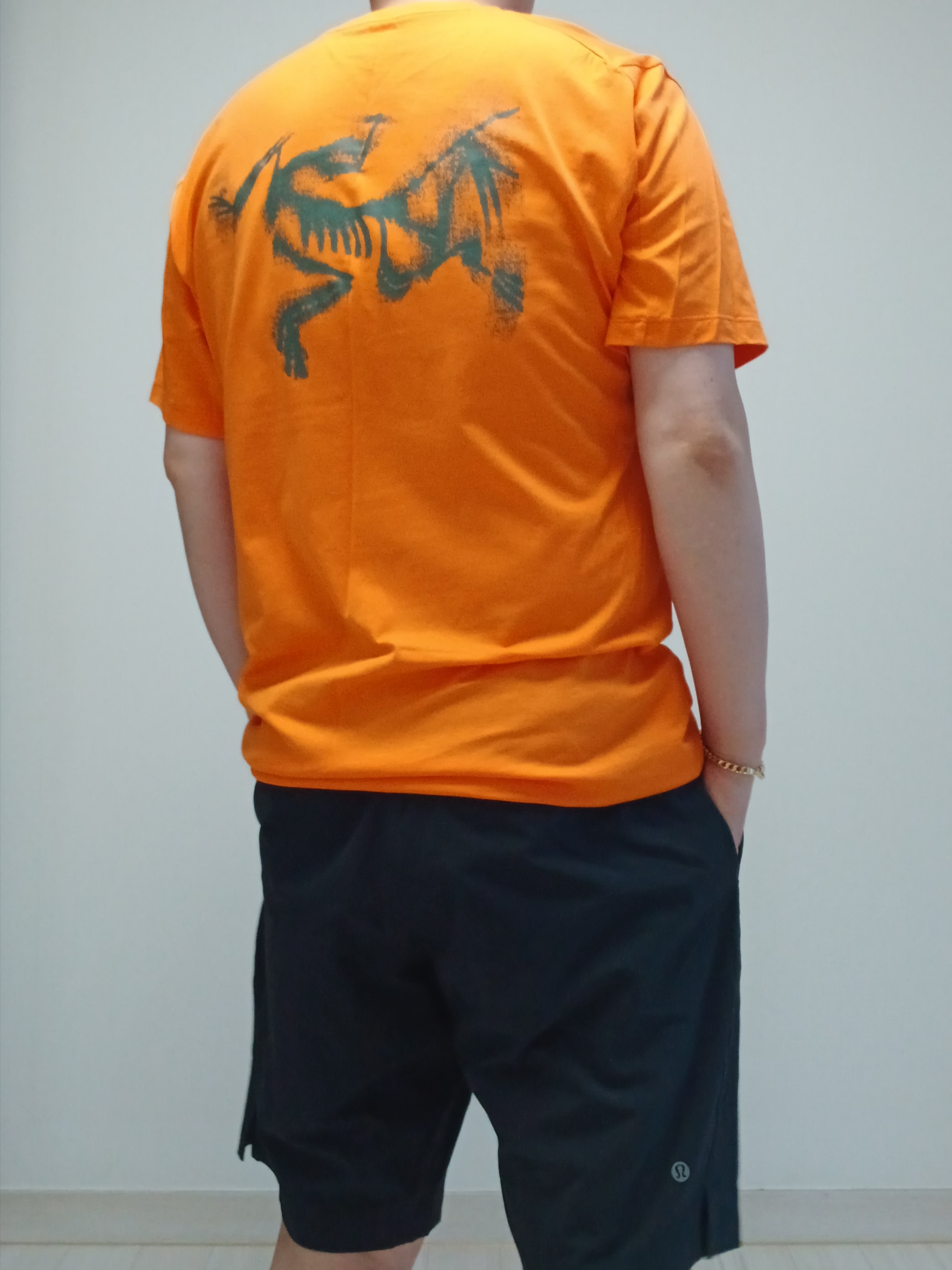 Arc'teryx Kragg SL Cotton Blurred Bird SS T-Shirt Verve Forage, Lululemon Zeroed In Linerless Short 5 inch Black 착용 스타일 - 1