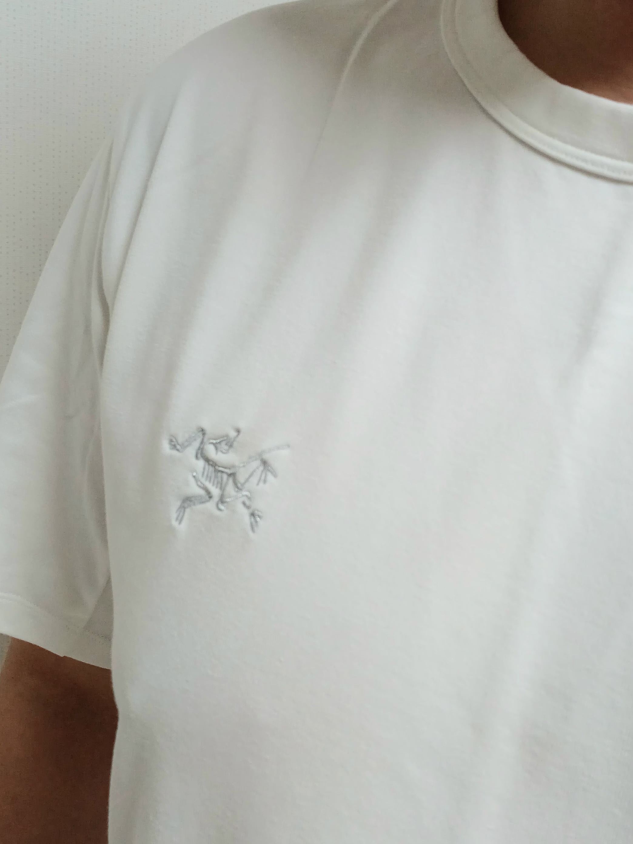 Arc'teryx Captive Arc'word SS T-Shirt White Light, Hoka Ora Athletic Slide Black White 착용 스타일 - 9