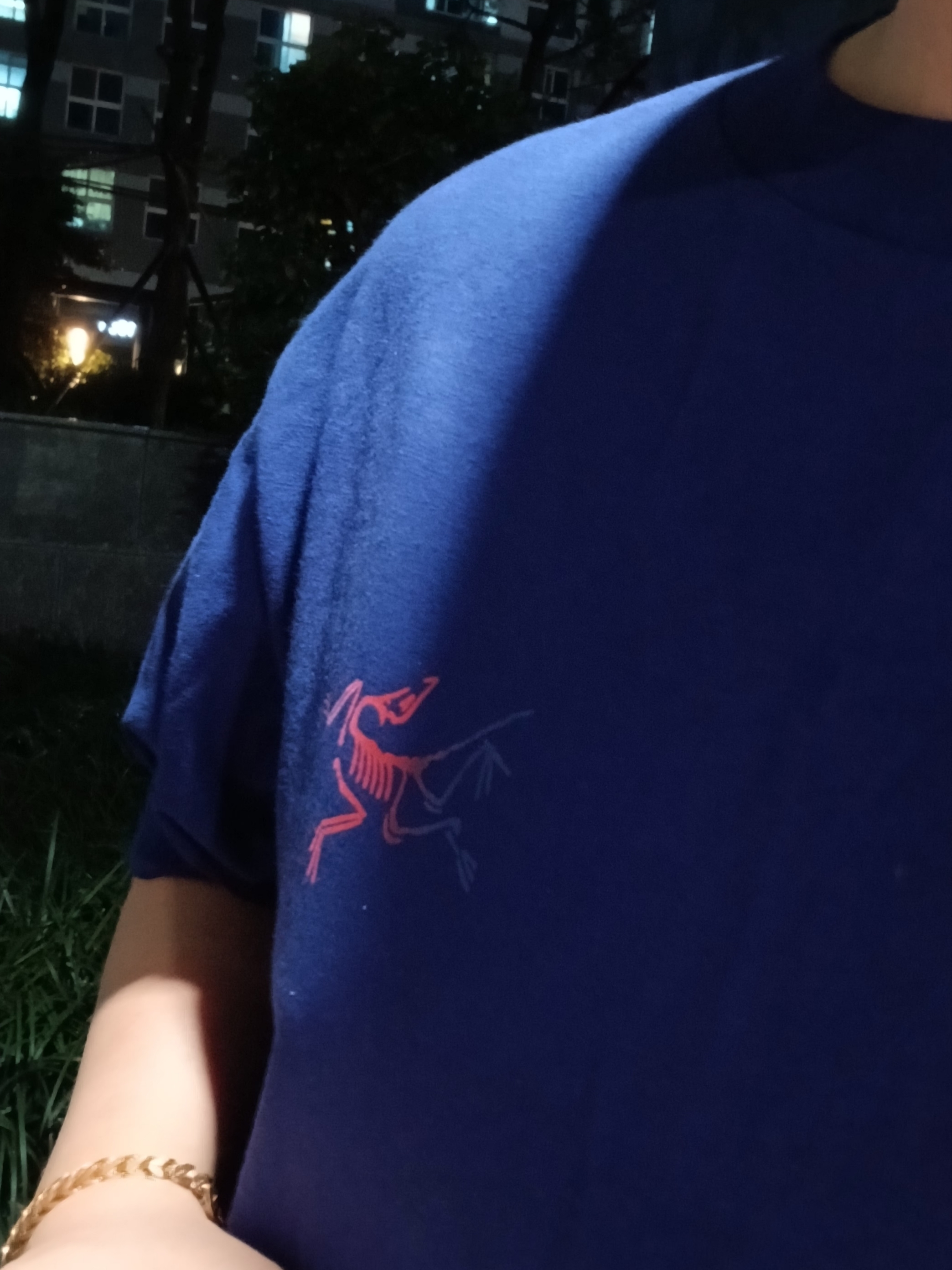 Arc'teryx Kragg Cotton Logo SS T-Shirt Soulsonic Dynasty, Arc'teryx Gamma Quick Dry Shorts 9 Inch Black 착용 스타일 - 4