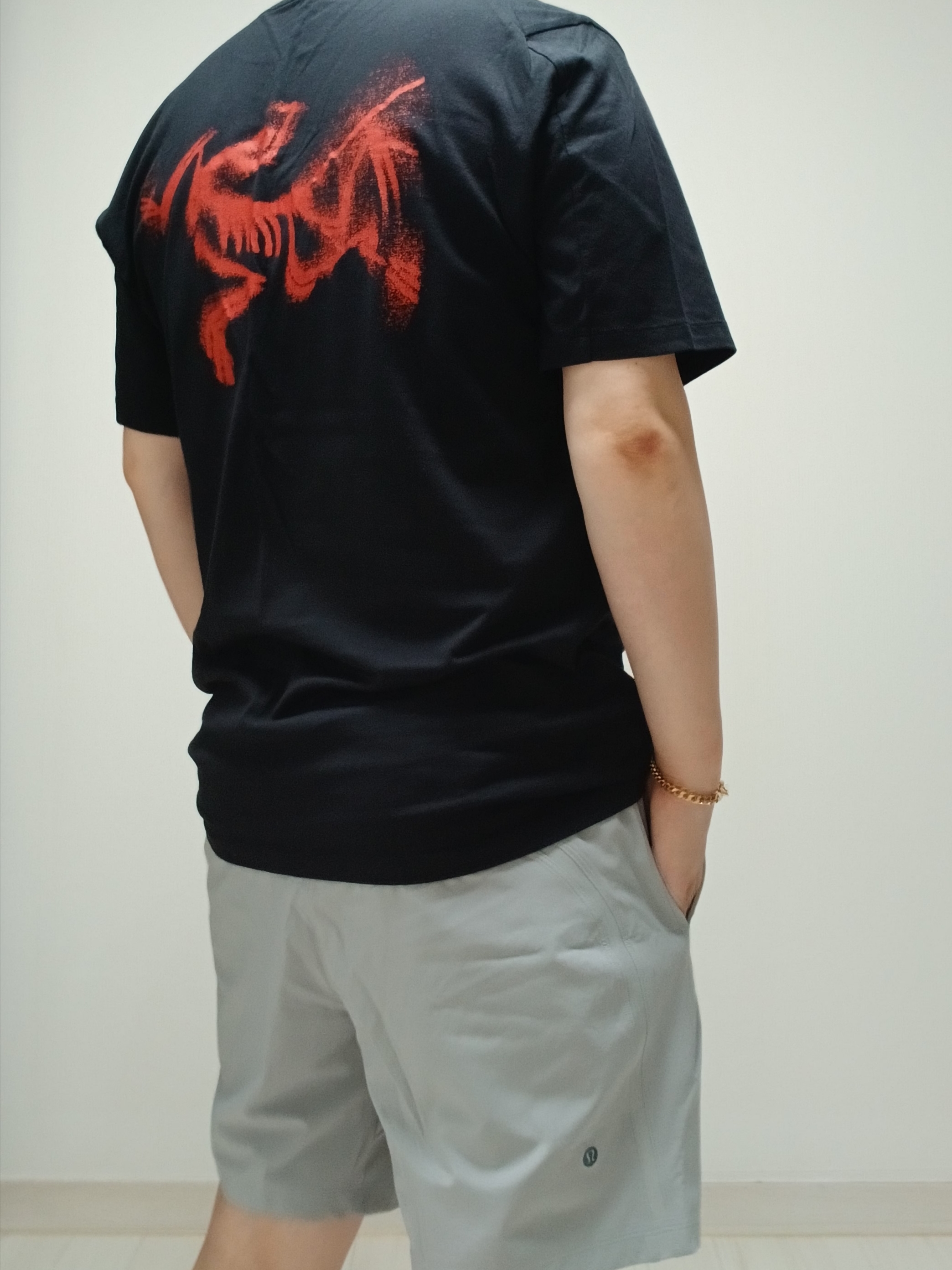Arc'teryx Kragg SL Cotton Blurred Bird SS T-Shirt Black Dynasty, Lululemon Pace Breaker Linerless Shorts 7 Inch Black 착용 스타일 - 1