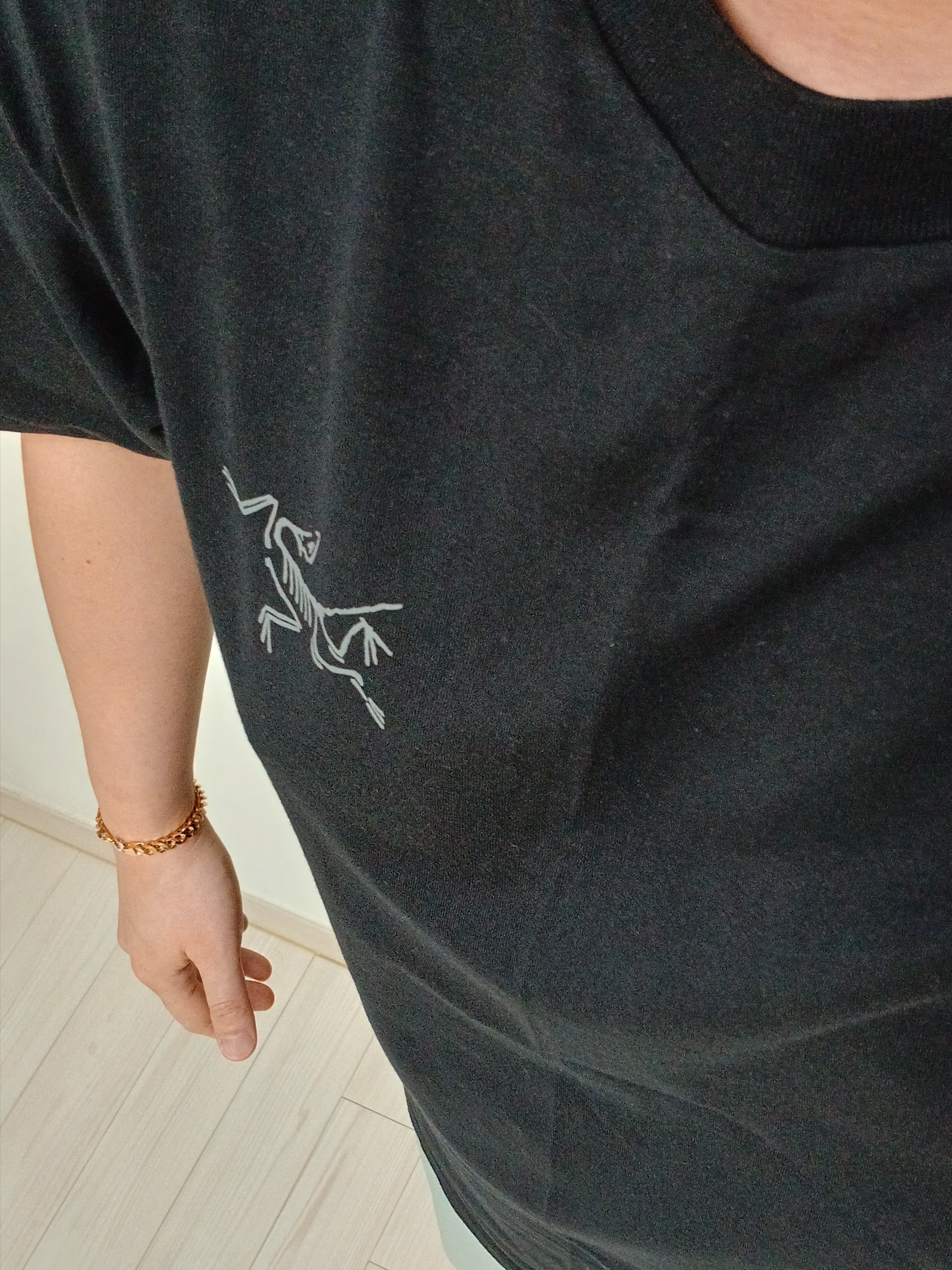Arc'teryx Kragg SL Cotton SS T-Shirt Black, Arc'teryx Incendo Shorts 9 Inch Black 착용 스타일 - 6